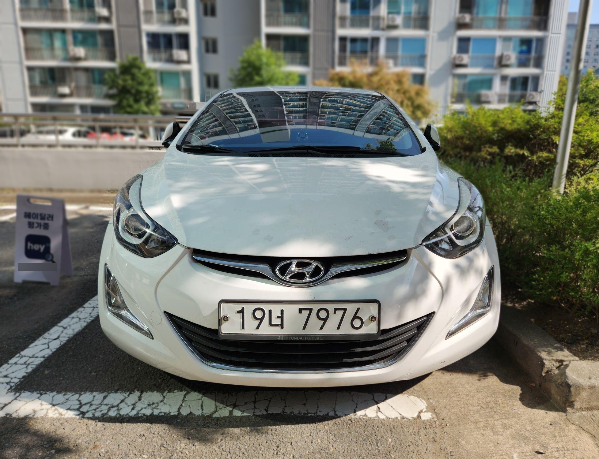 Hyundai The New Avante