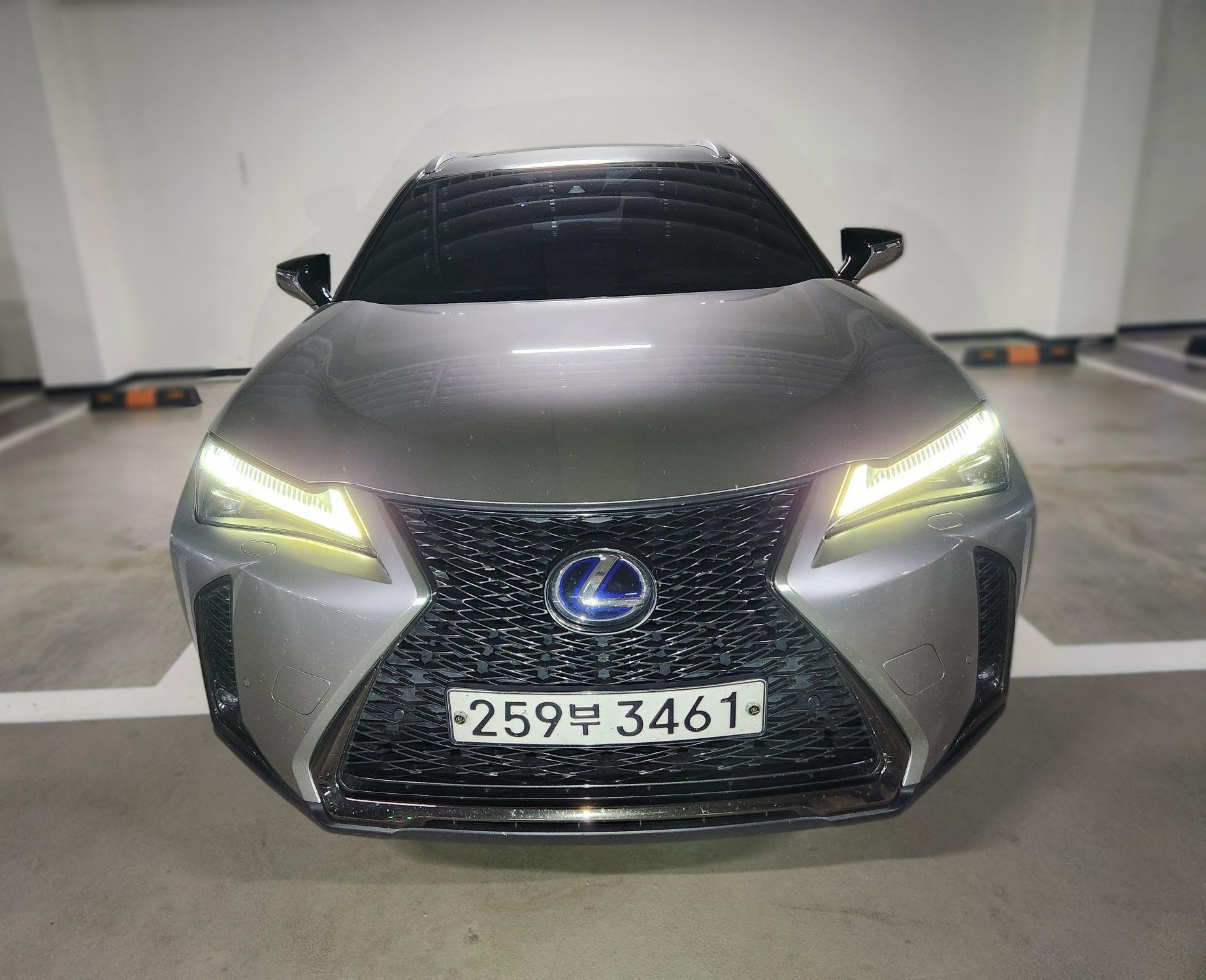 Lexus UX250h