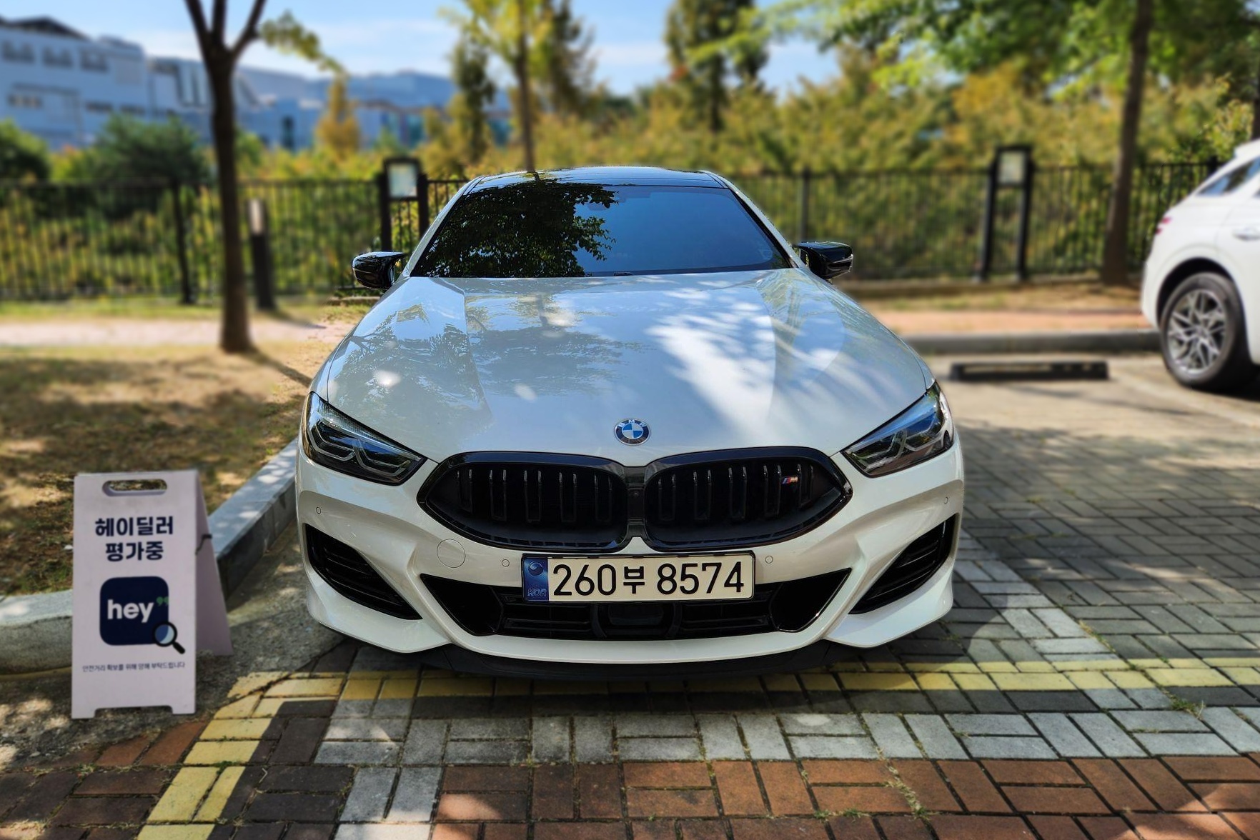BMW 8 Series (G15)