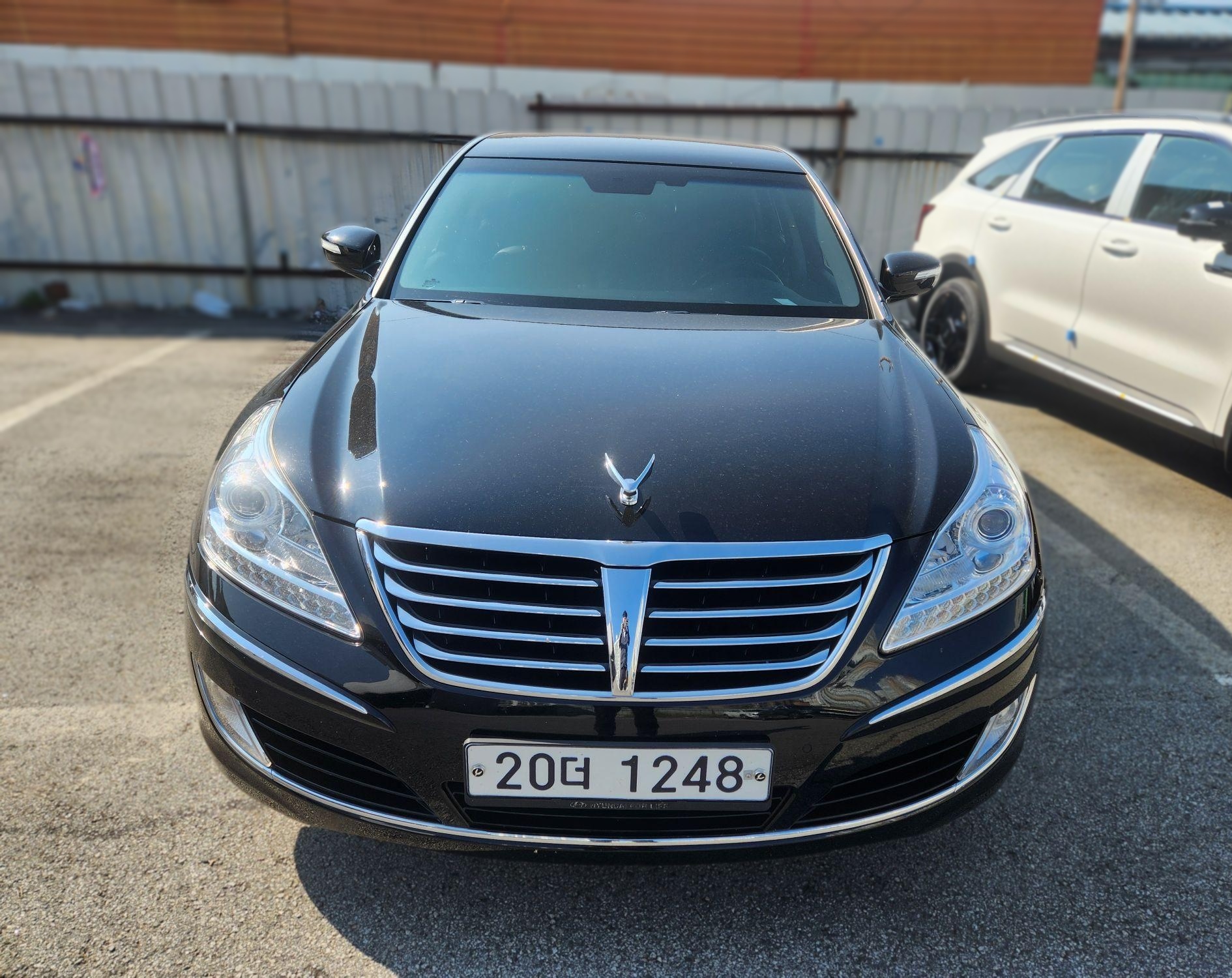 Hyundai Equus (New)