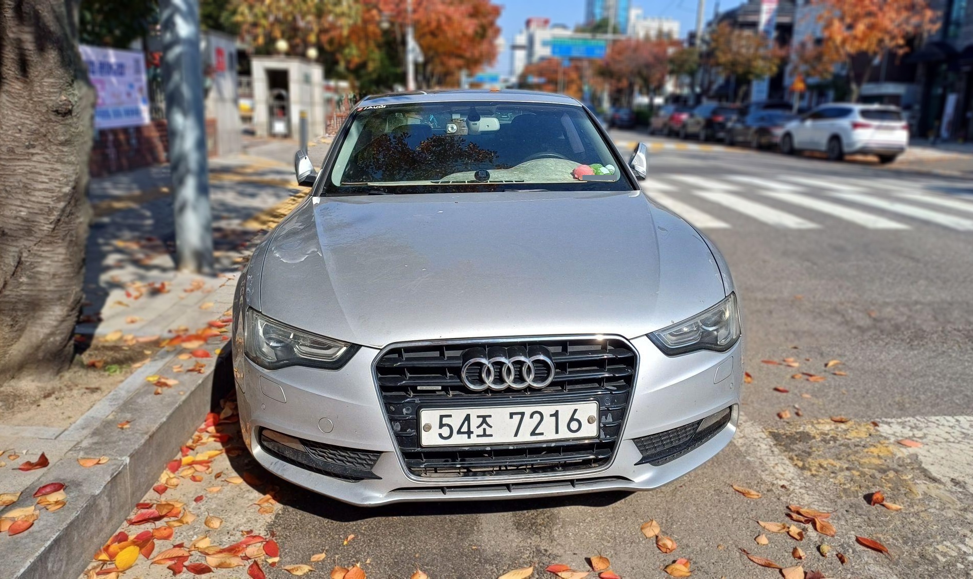 Audi A5 (8TA)