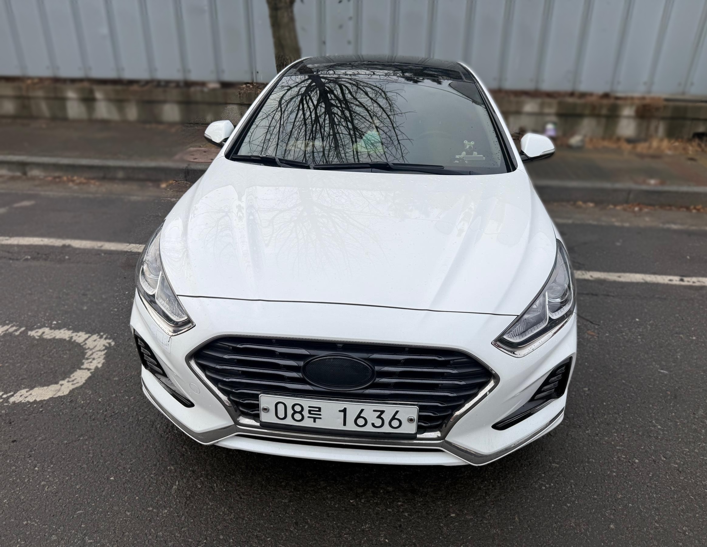 Hyundai Sonata New Rise