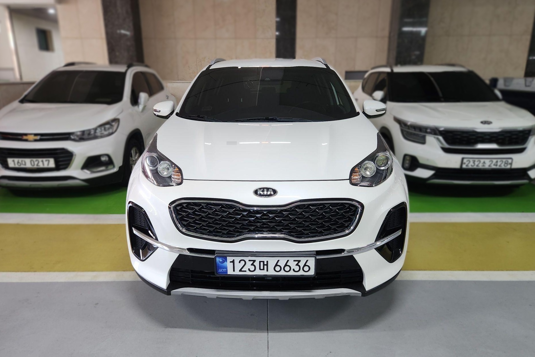 Kia Sportage The Bold