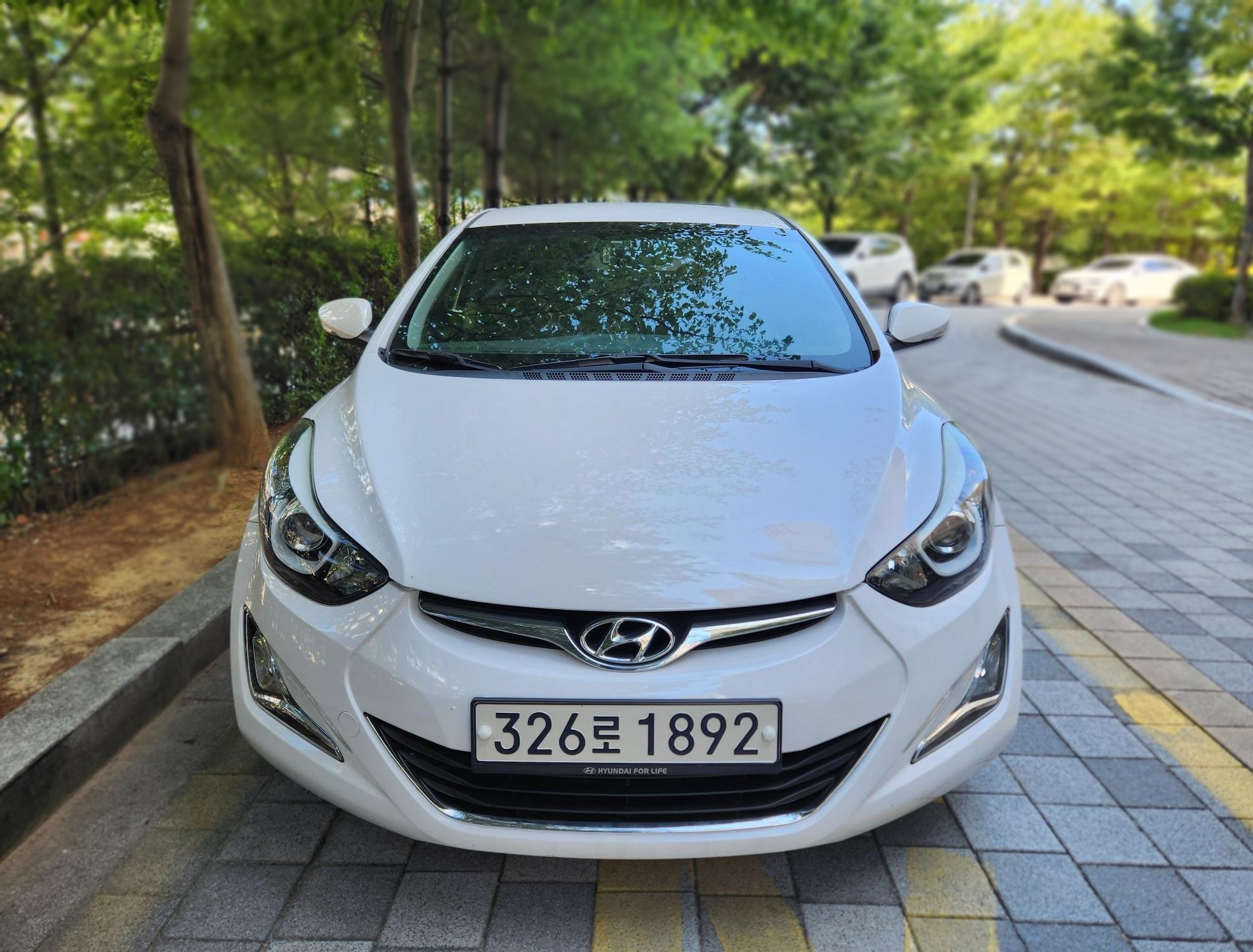 Hyundai The New Avante
