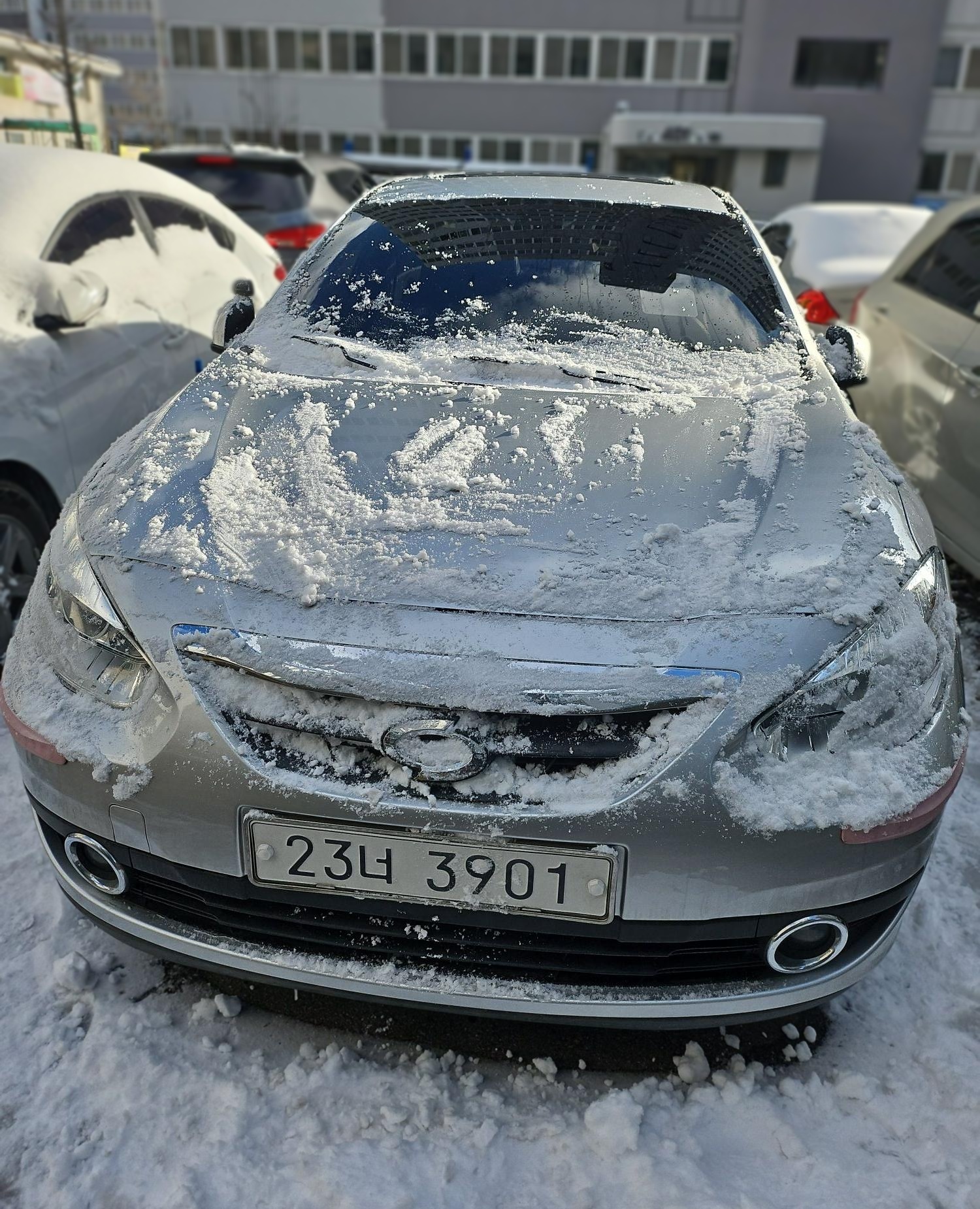 Renault Korea (Samsung) New SM3
