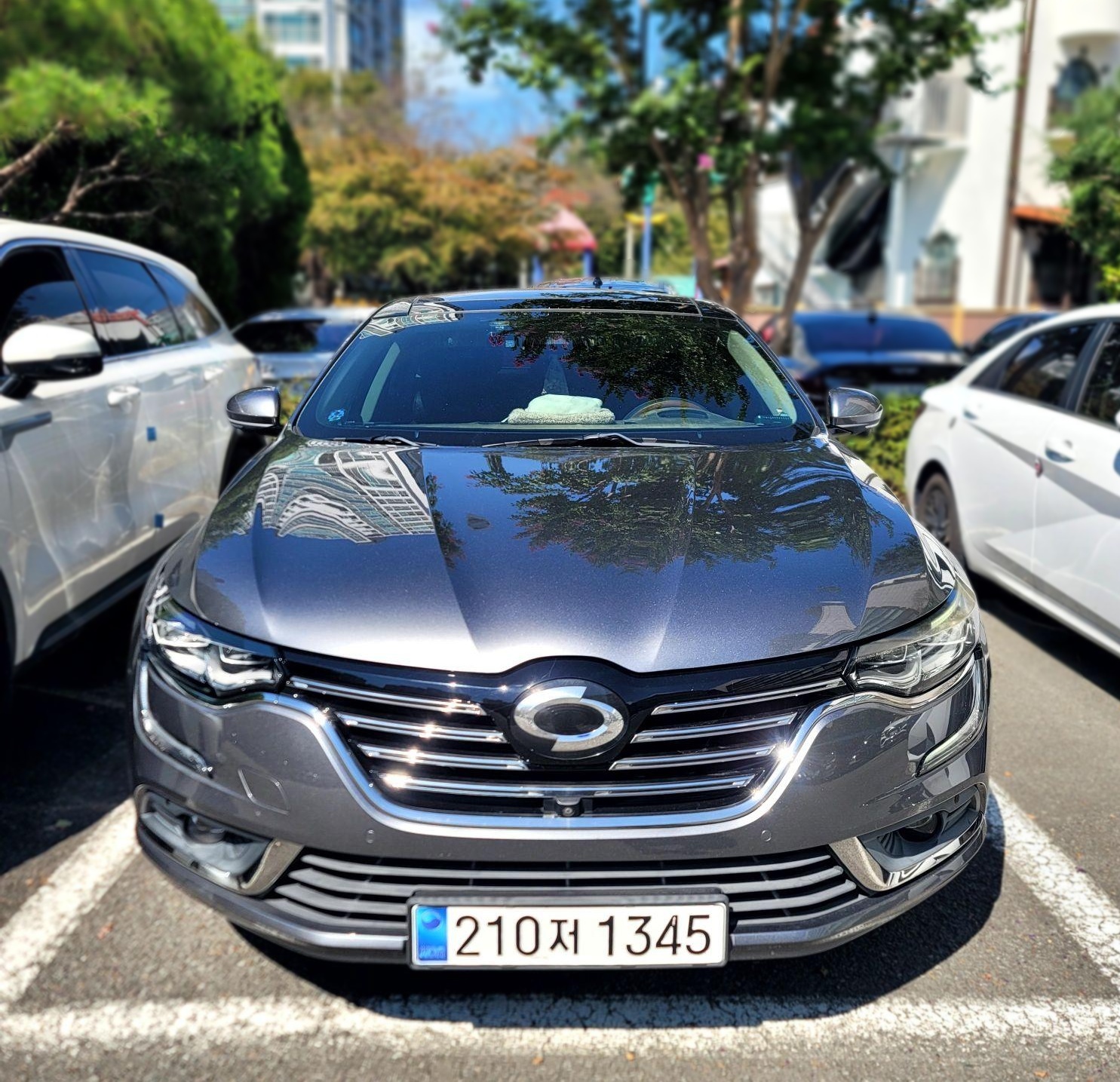 Renault Korea (Samsung) SM6