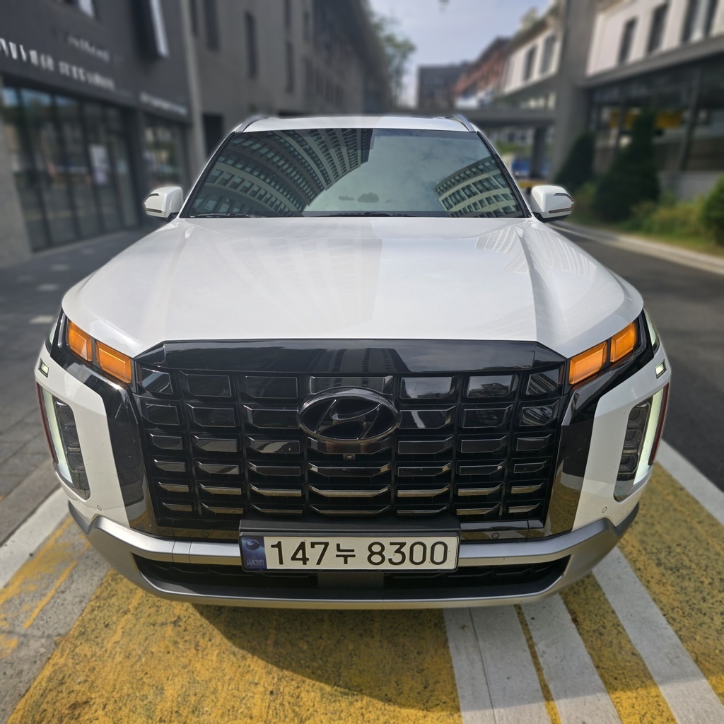 Hyundai The New Palisade