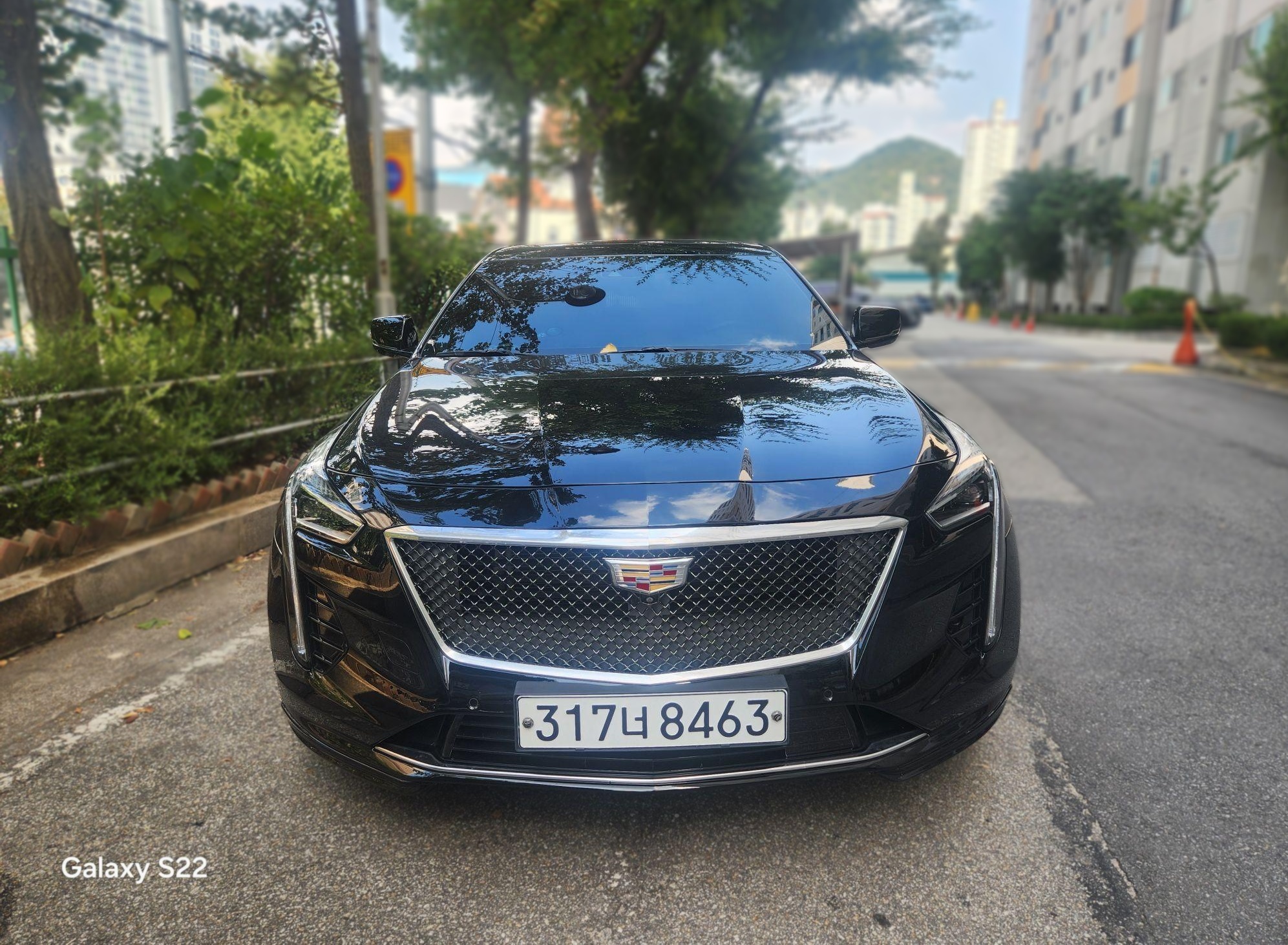 캐딜락 CT6