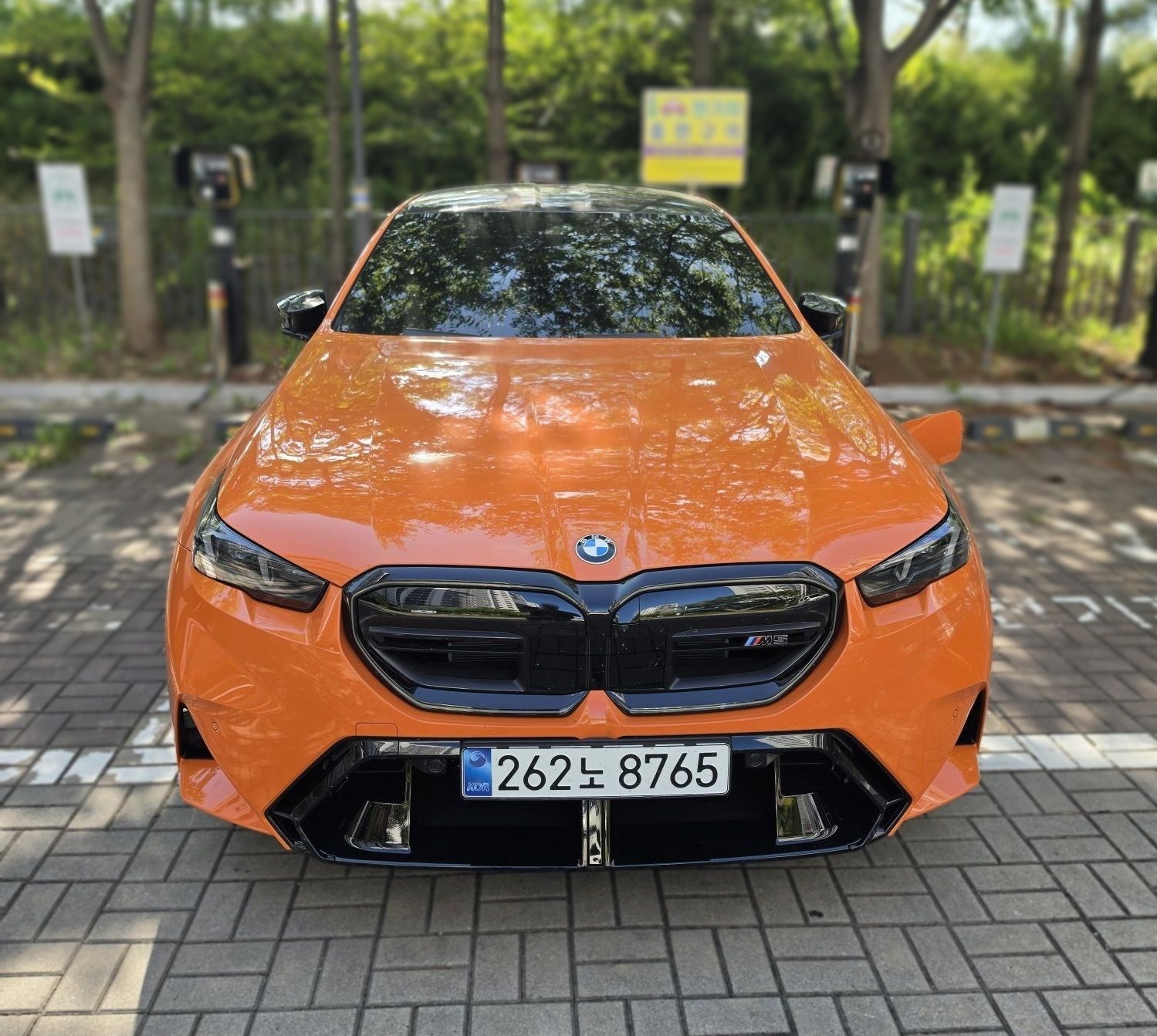 BMW M5 (G90)