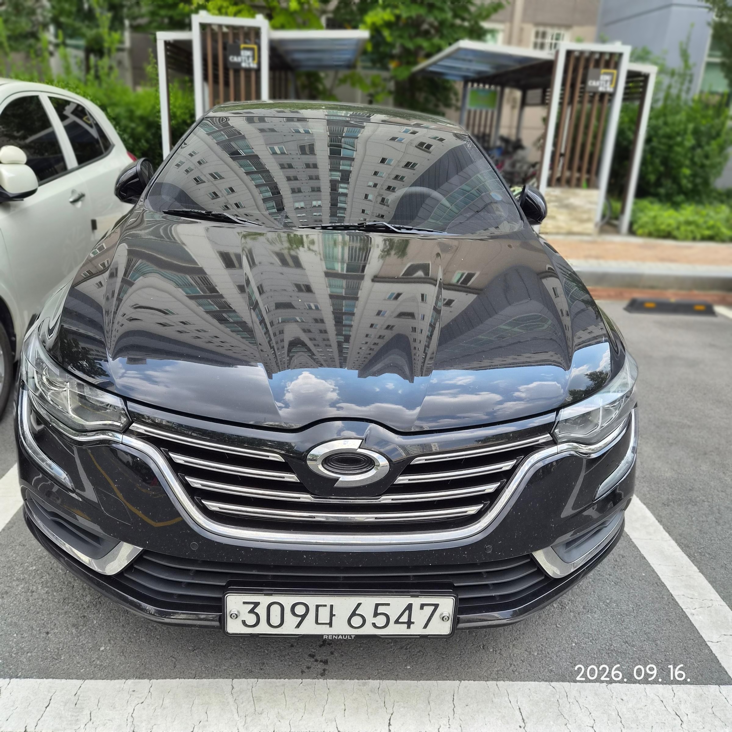 Renault Korea (Samsung) SM6