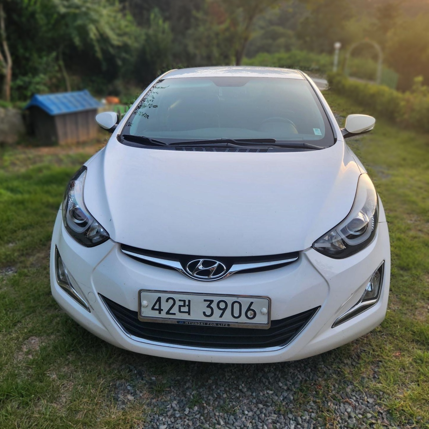 Hyundai The New Avante