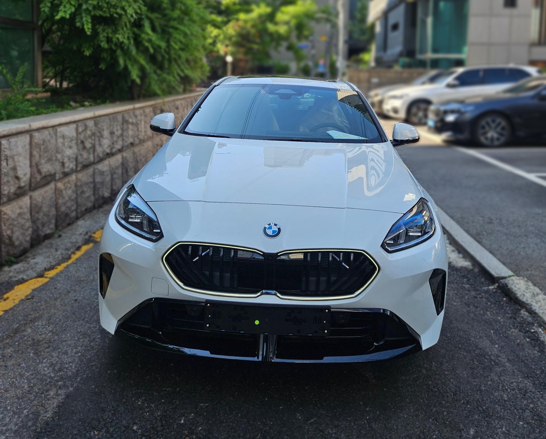 BMW 1 Series (F70)
