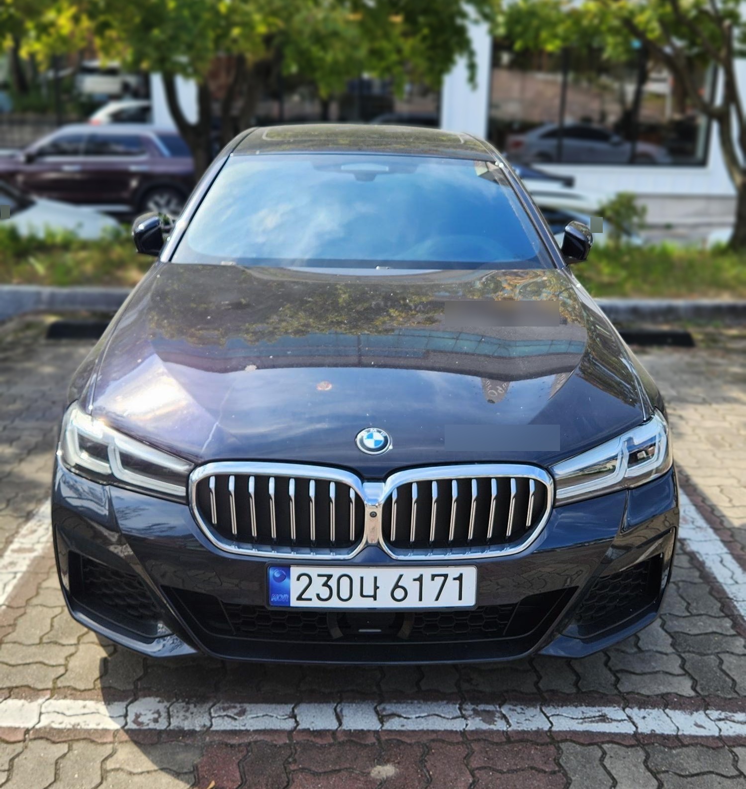 BMW 5 Series (G30)