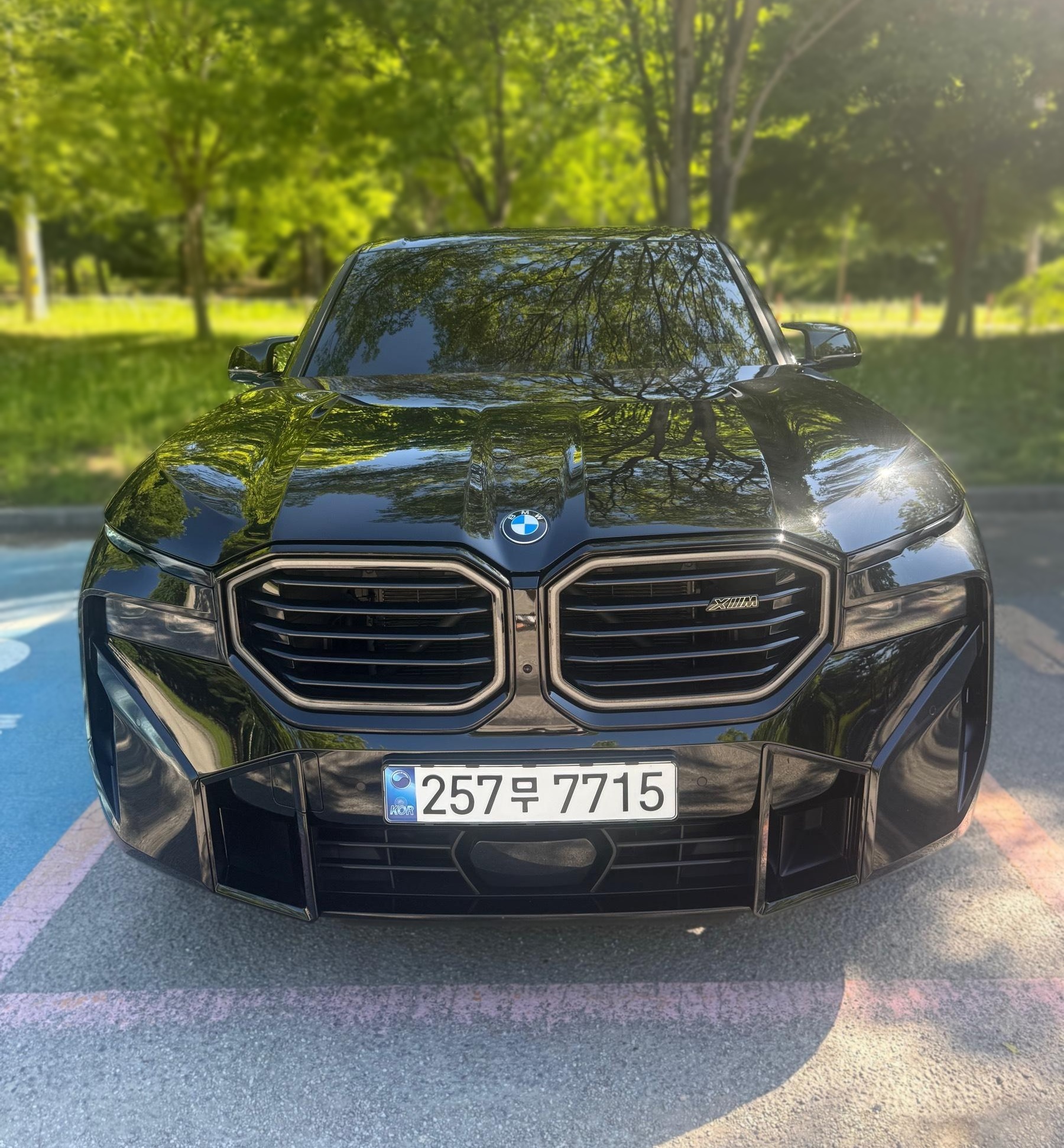BMW XM (G09)