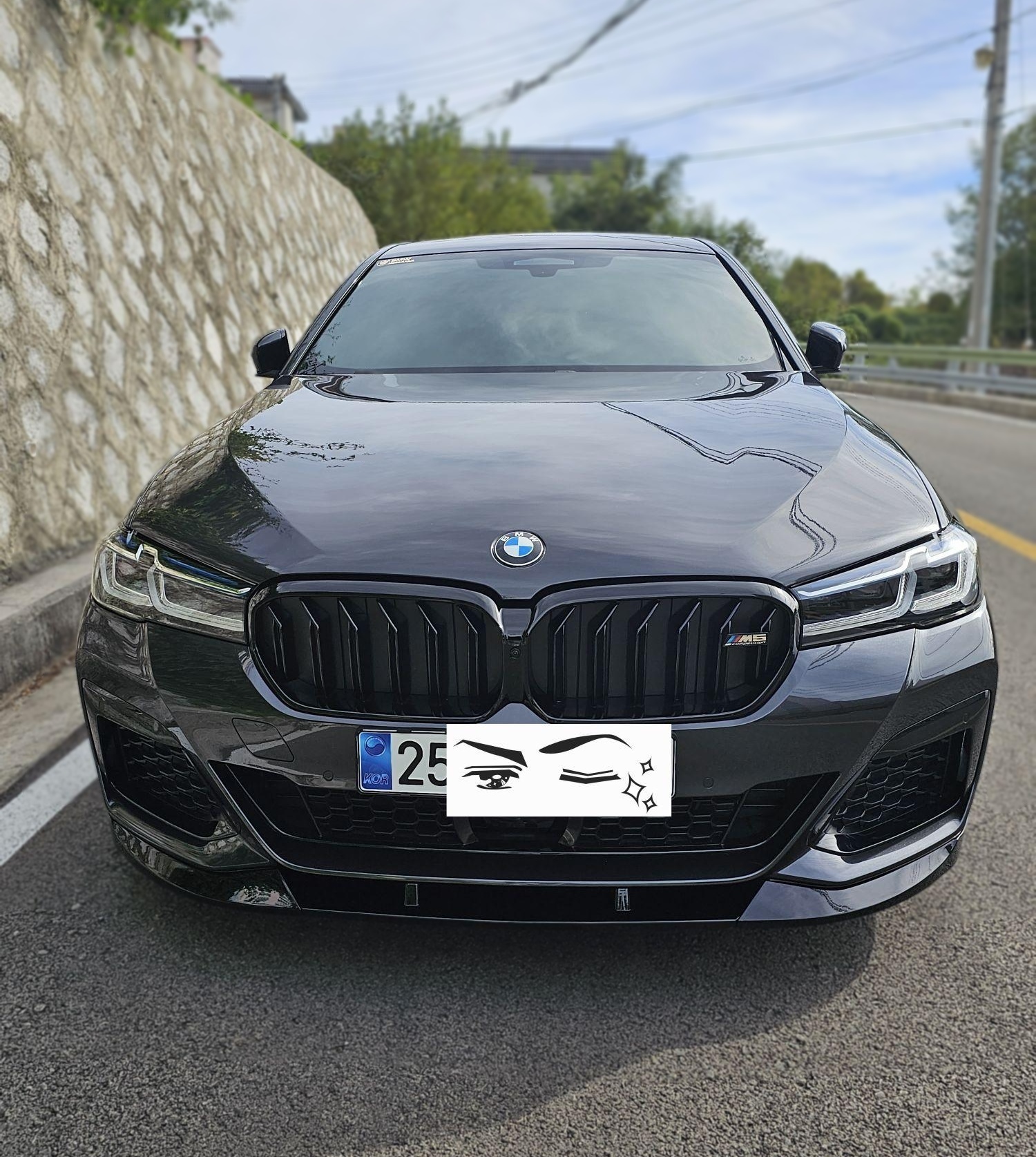 BMW 5 Series (G30)