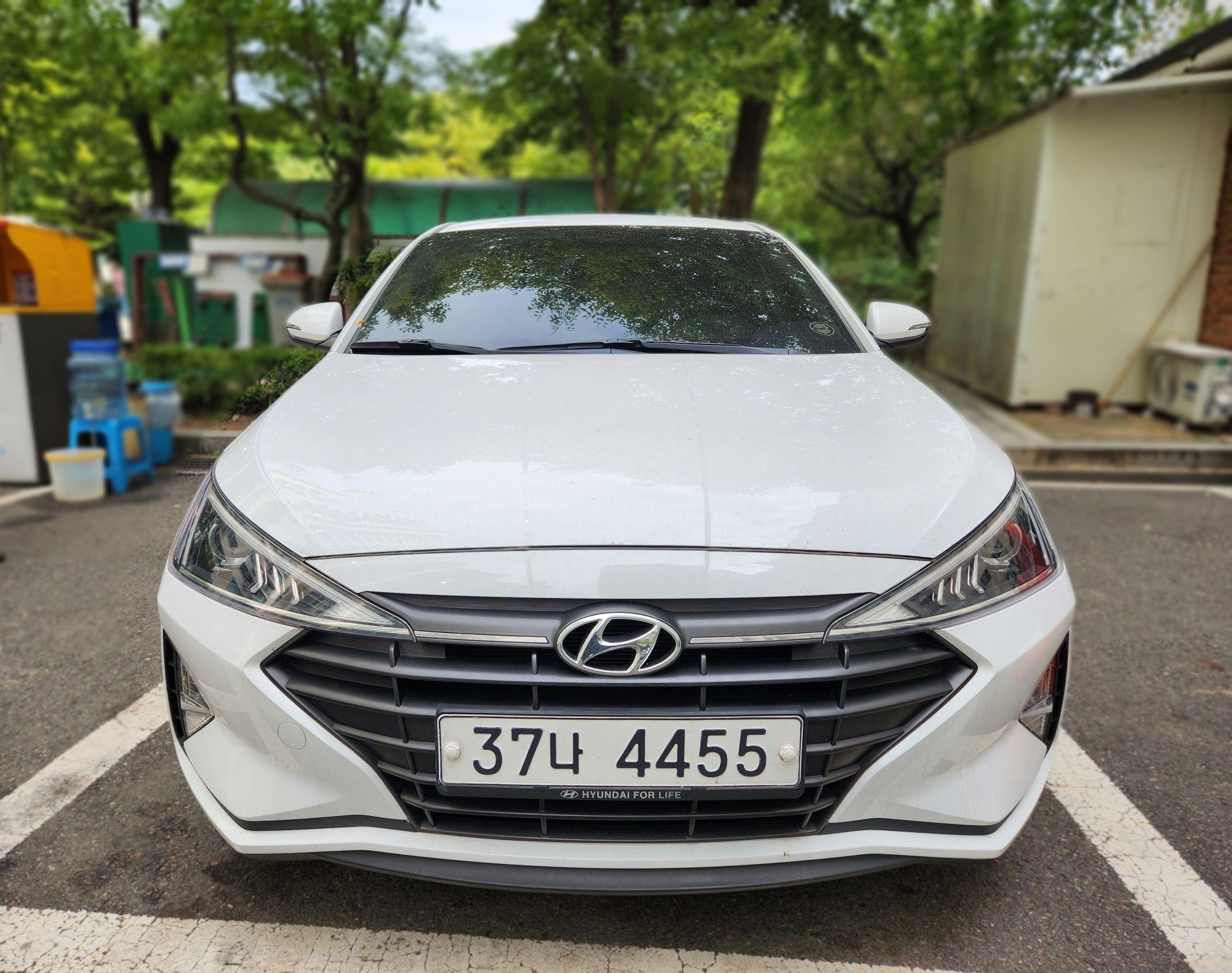 Hyundai The New Avante AD