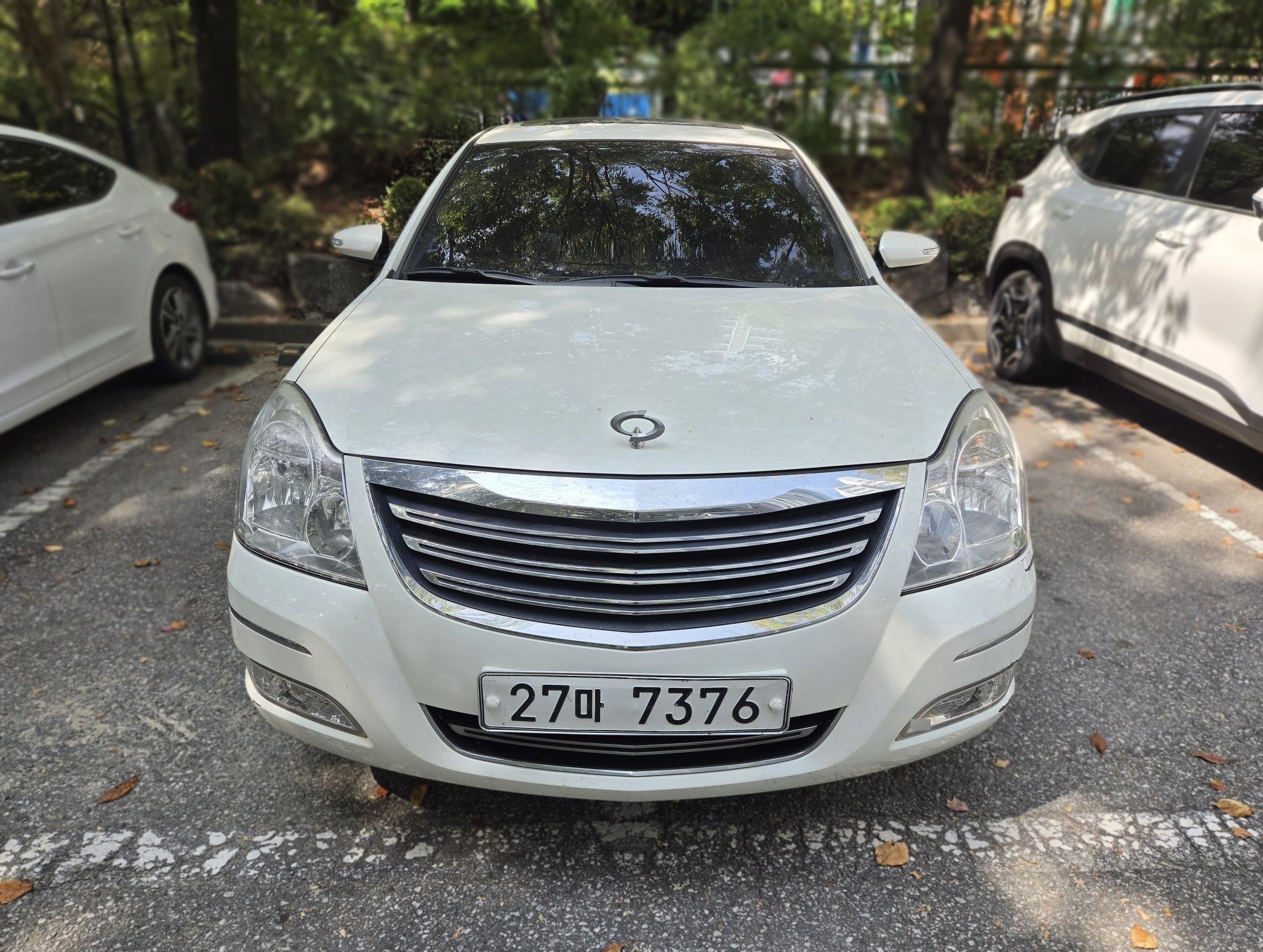 Renault Korea (Samsung) SM7 New Art