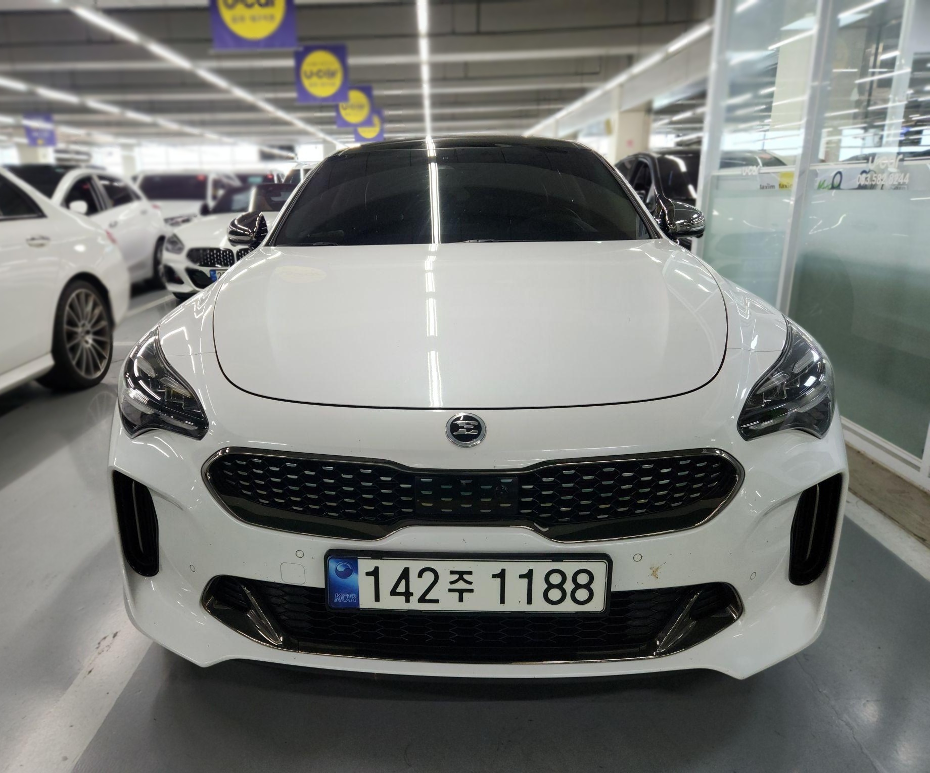 Kia Stinger Meister
