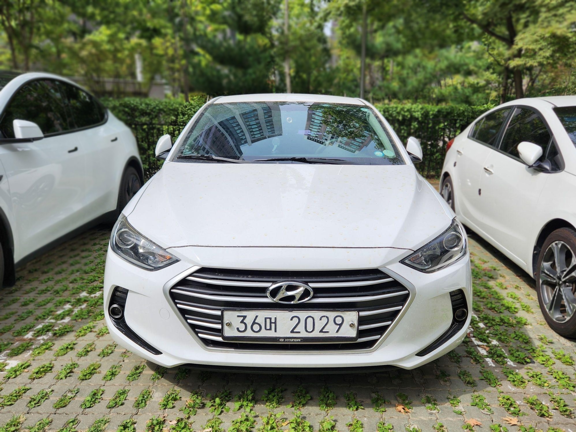 Hyundai Avante AD