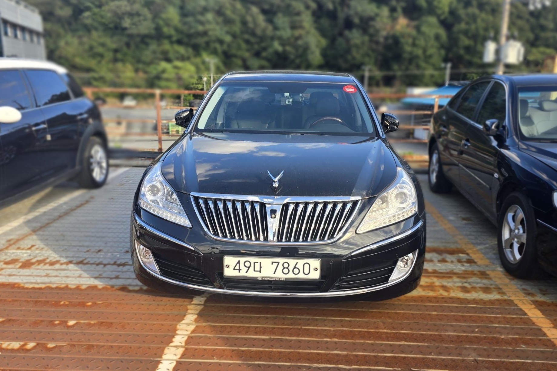 Hyundai Equus (New)