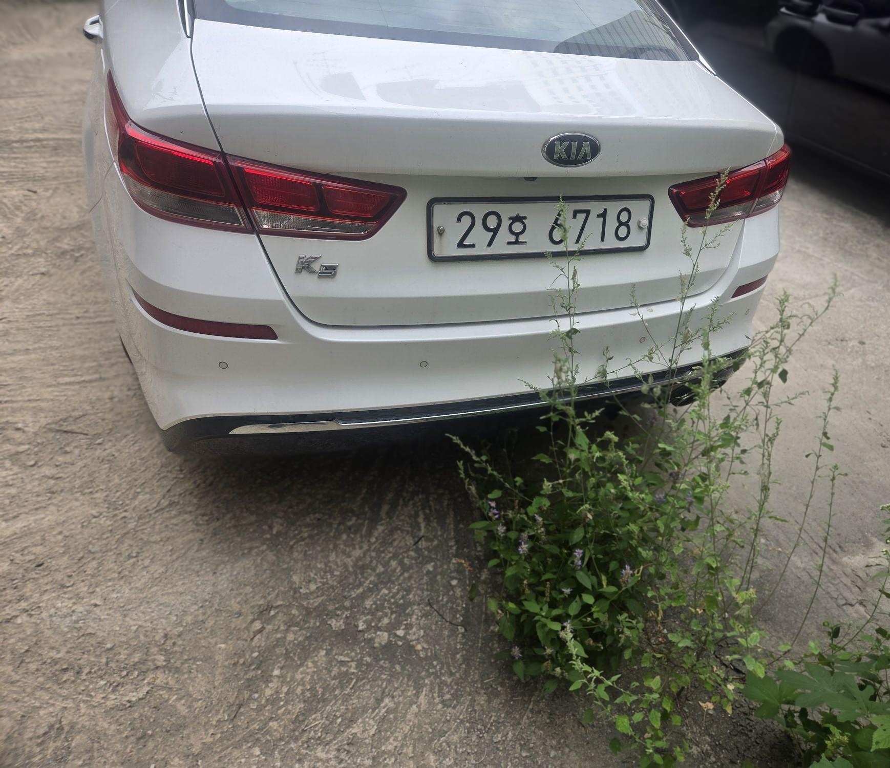 Kia The New K5 2nd Gen
