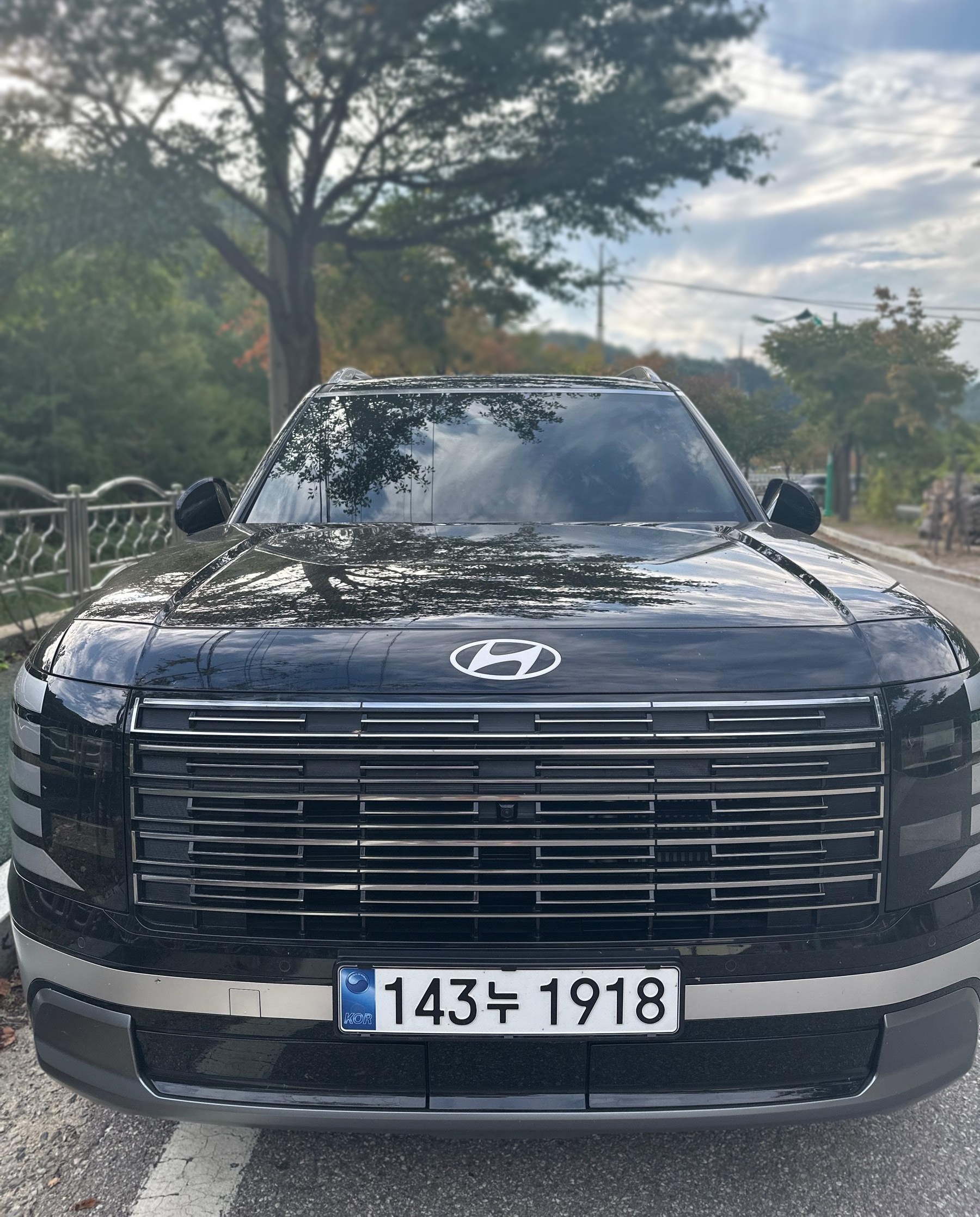 Hyundai The All-New Palisade