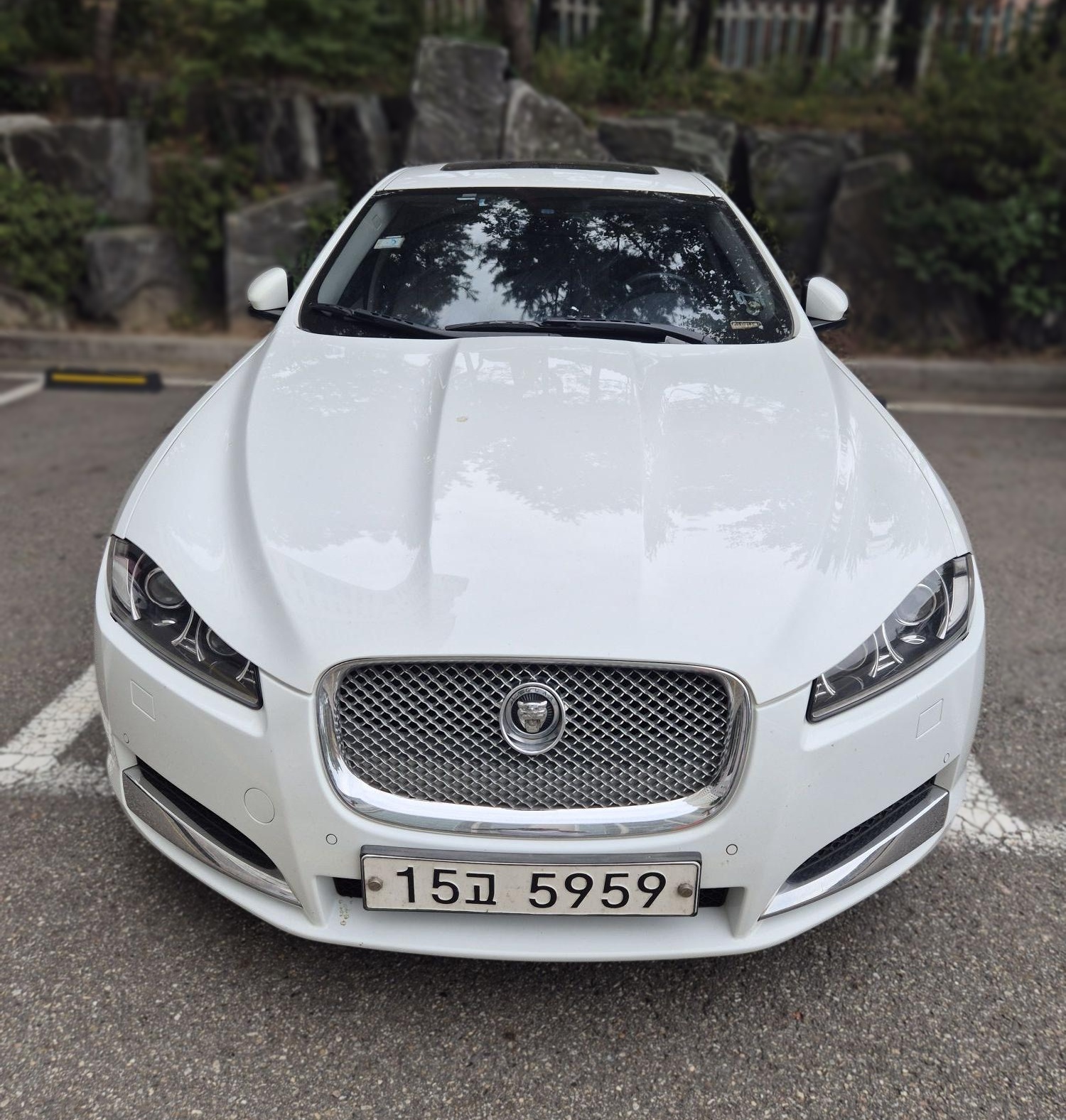 Jaguar New XF