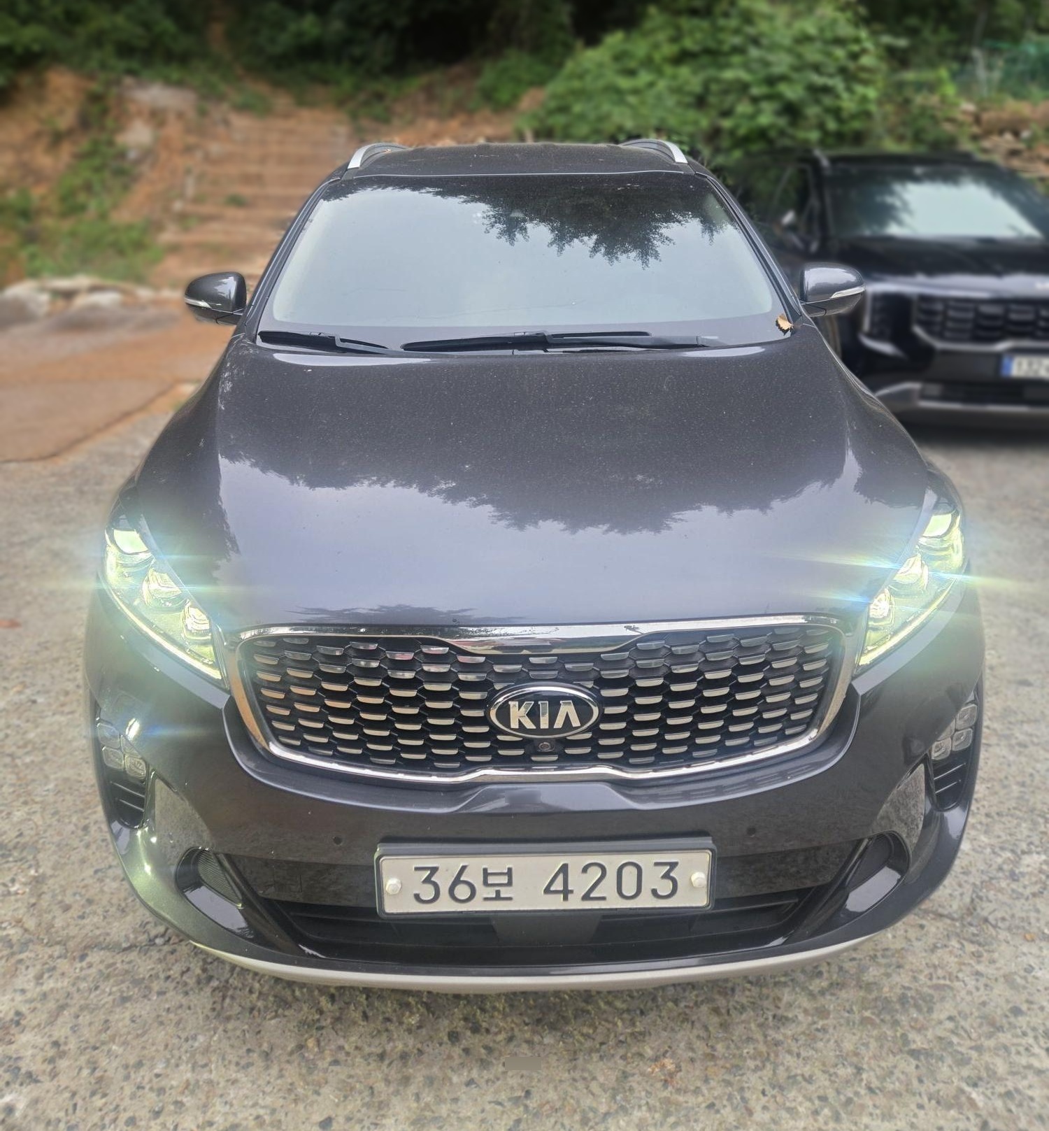 Kia The New Sorento