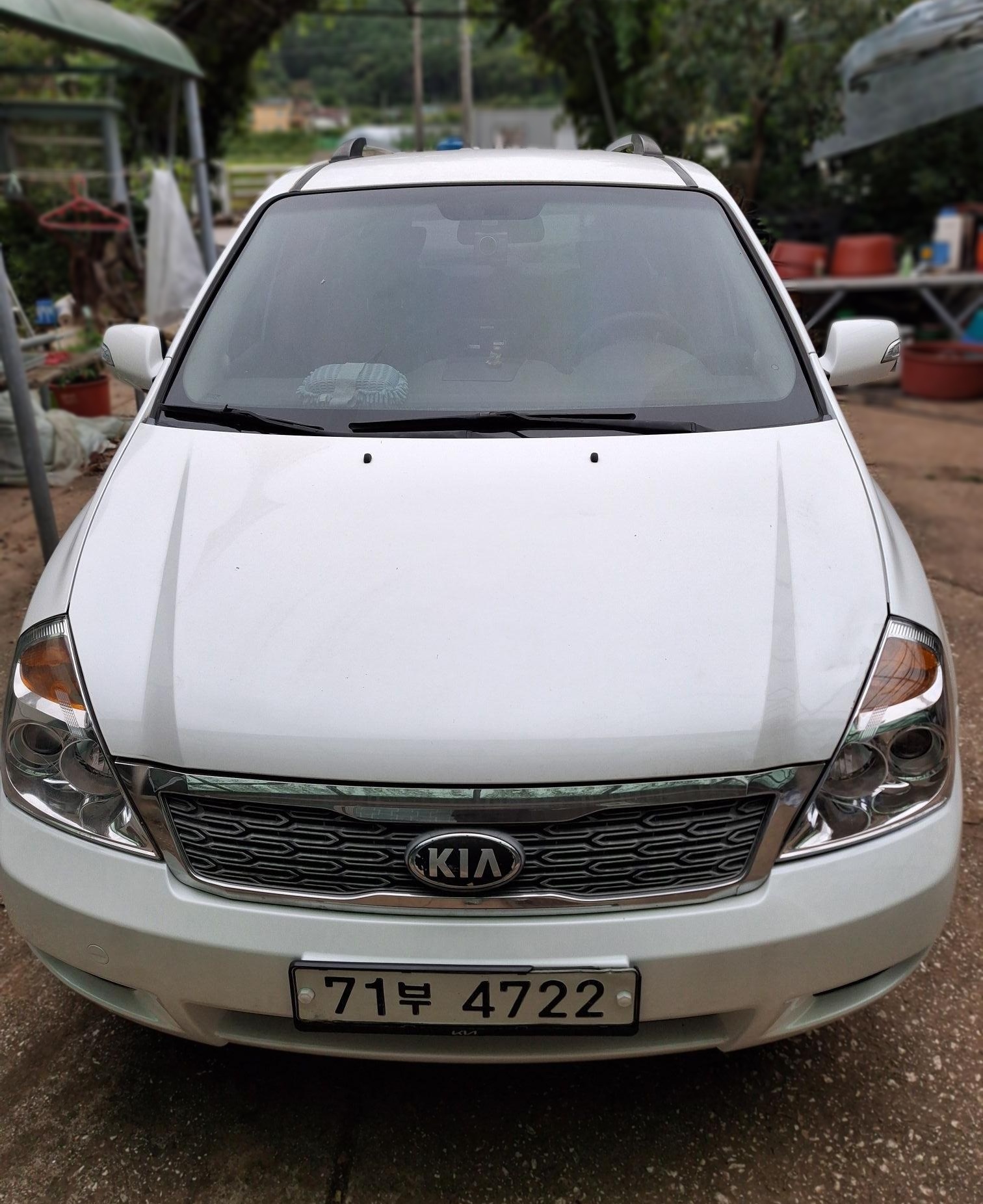 Kia Carnival R