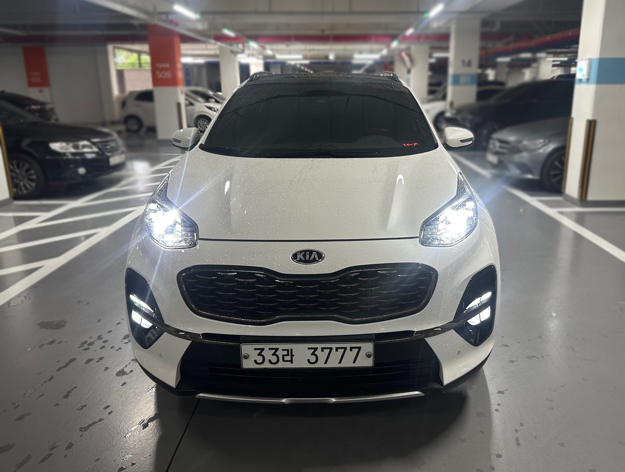 Kia Sportage The Bold