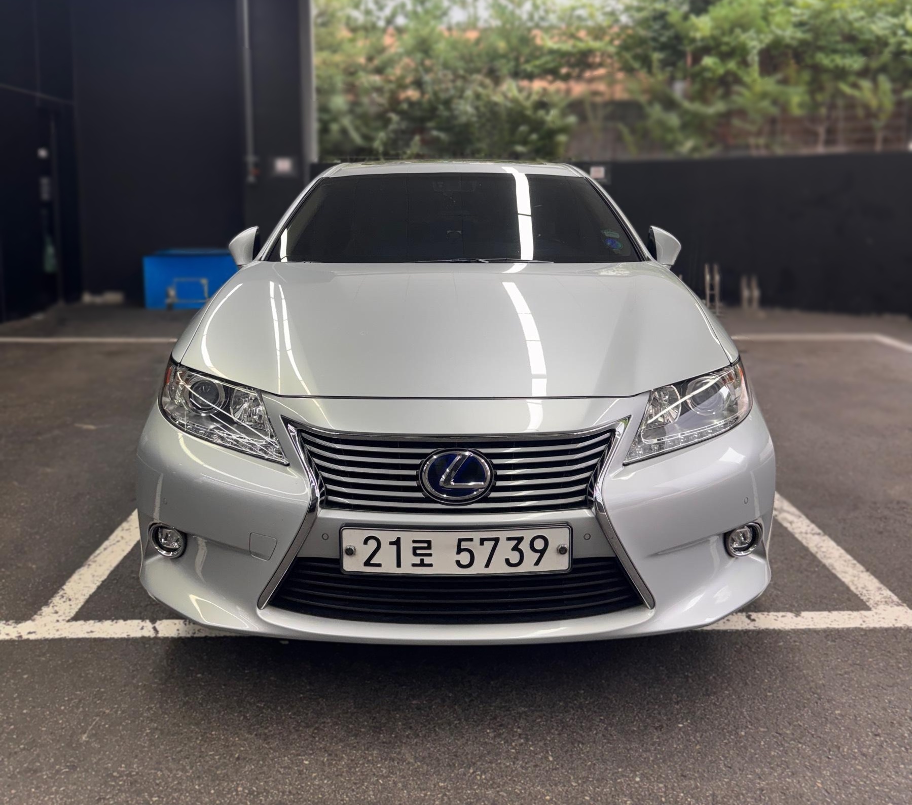 Lexus New ES300h