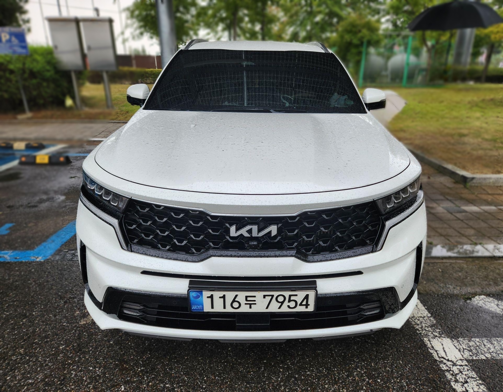Kia Sorento 4th Gen (MQ4)