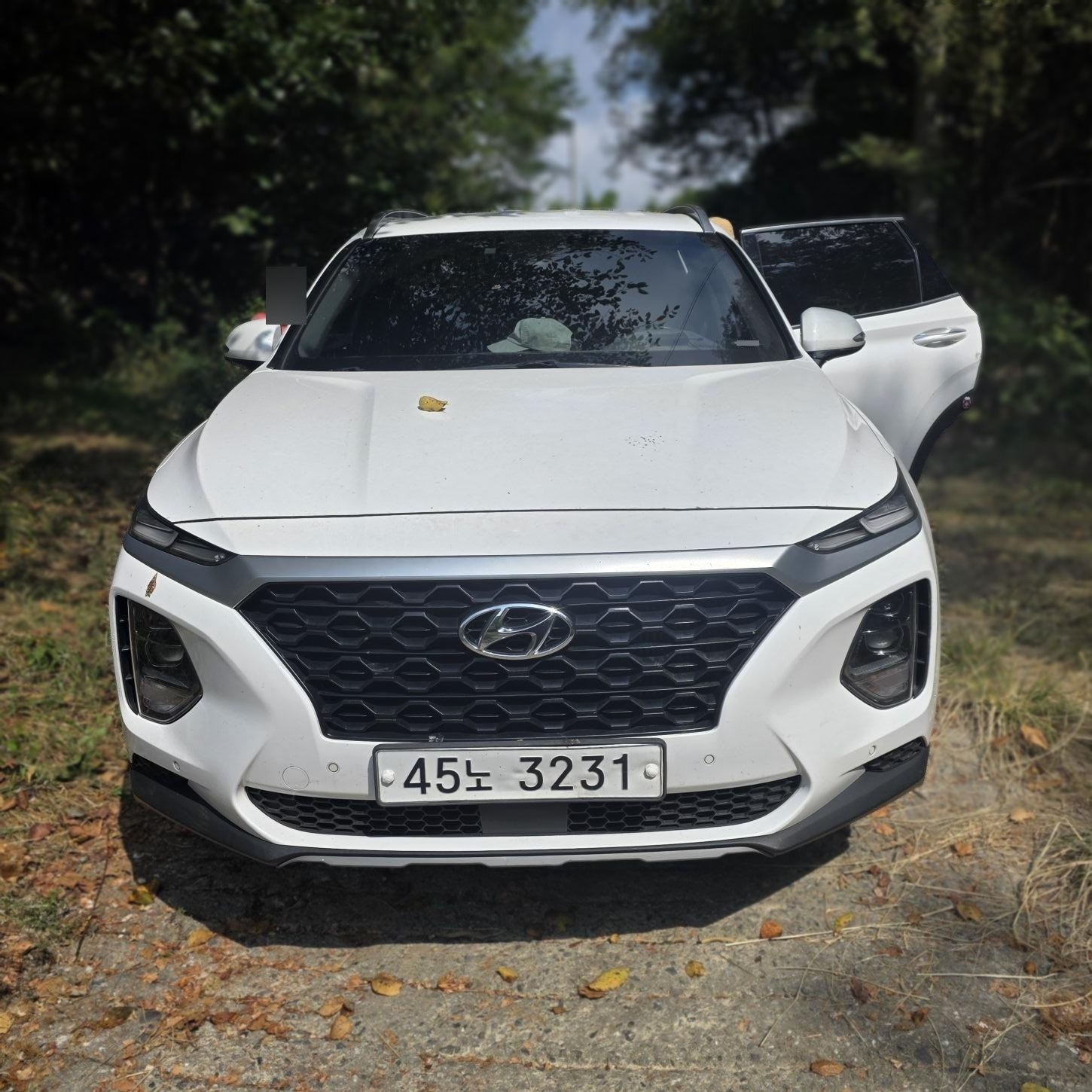 Hyundai Santa Fe TM