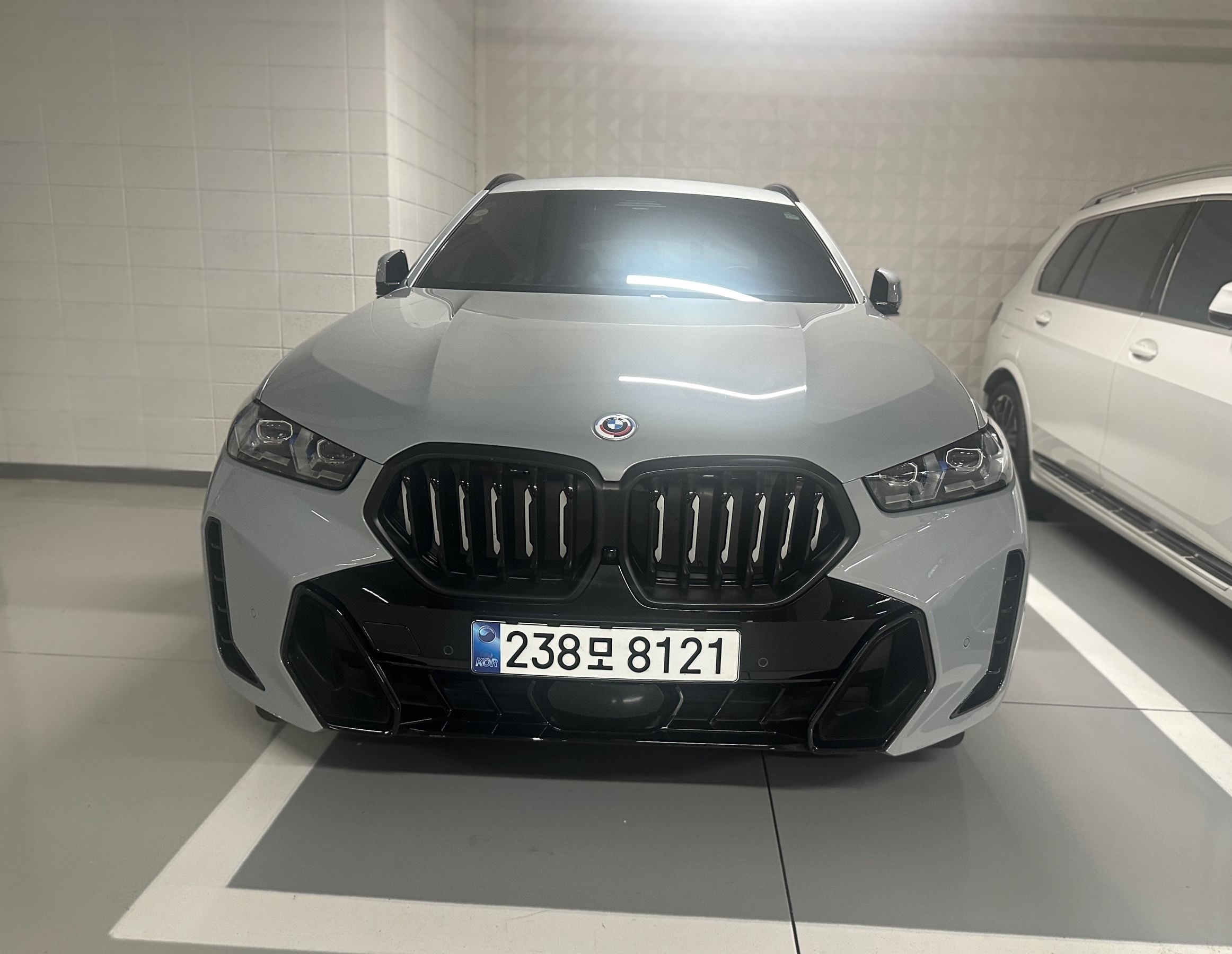 BMW X6 (G06)