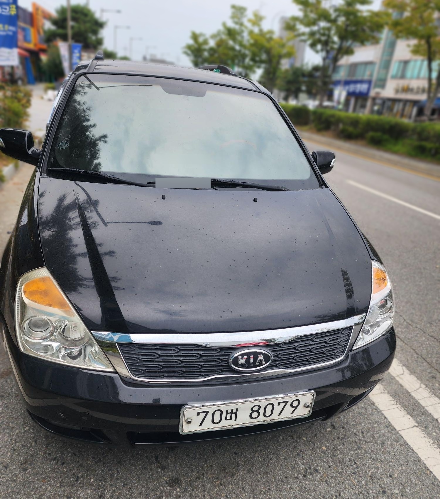 Kia Carnival R