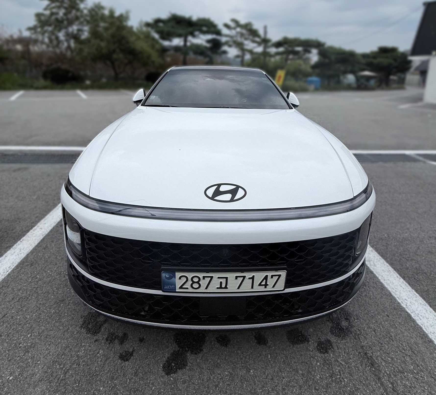 Hyundai The All-New Grandeur Hybrid (GN7)