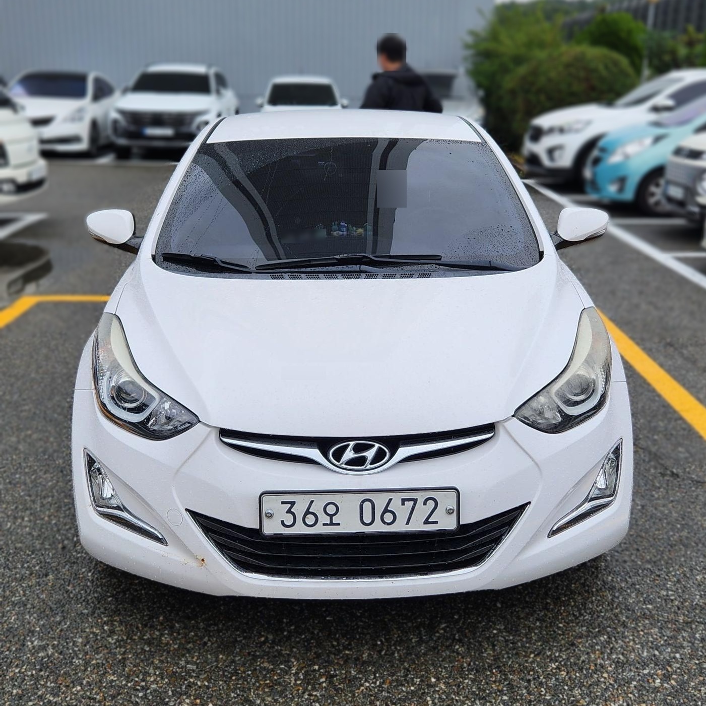Hyundai The New Avante