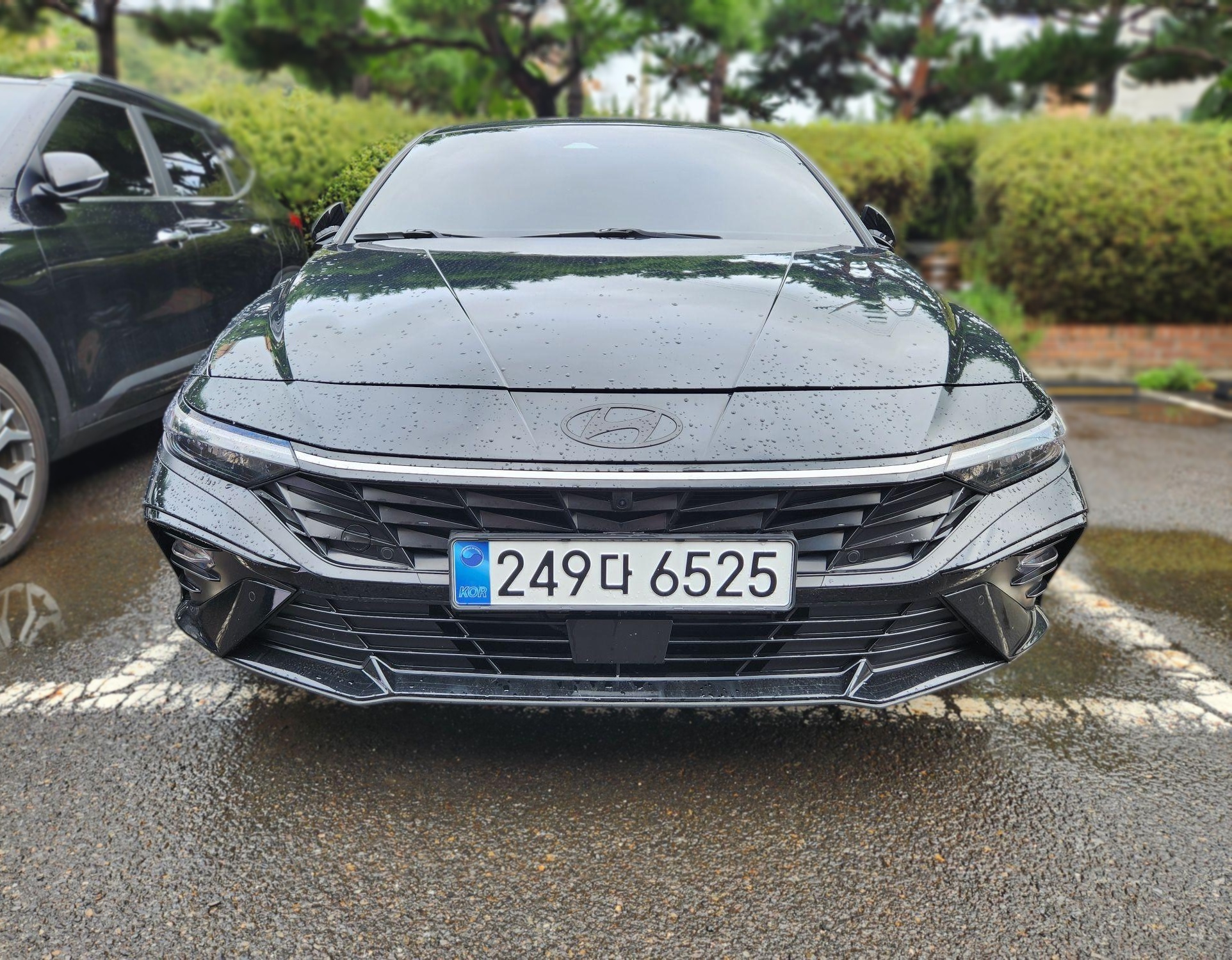 Hyundai The New Avante (CN7)