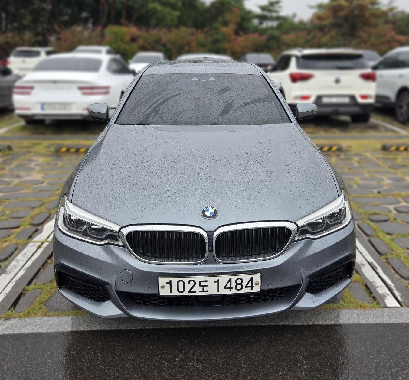 BMW 5 Series (G30)