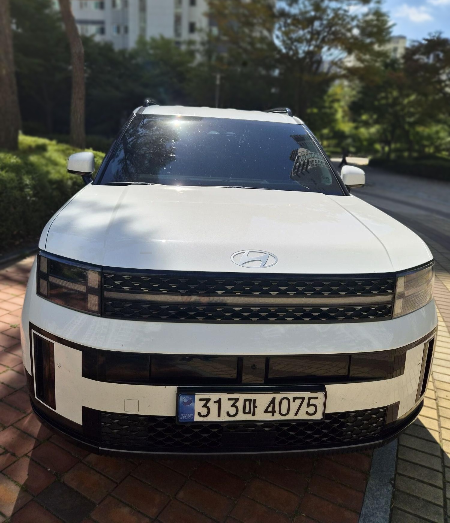 Hyundai The All-New Santa Fe Hybrid (MX5)