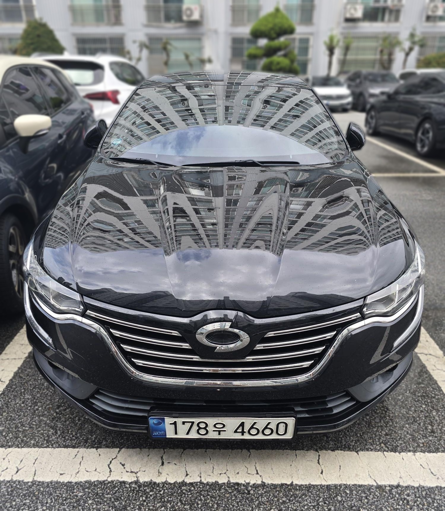 Renault Korea (Samsung) SM6