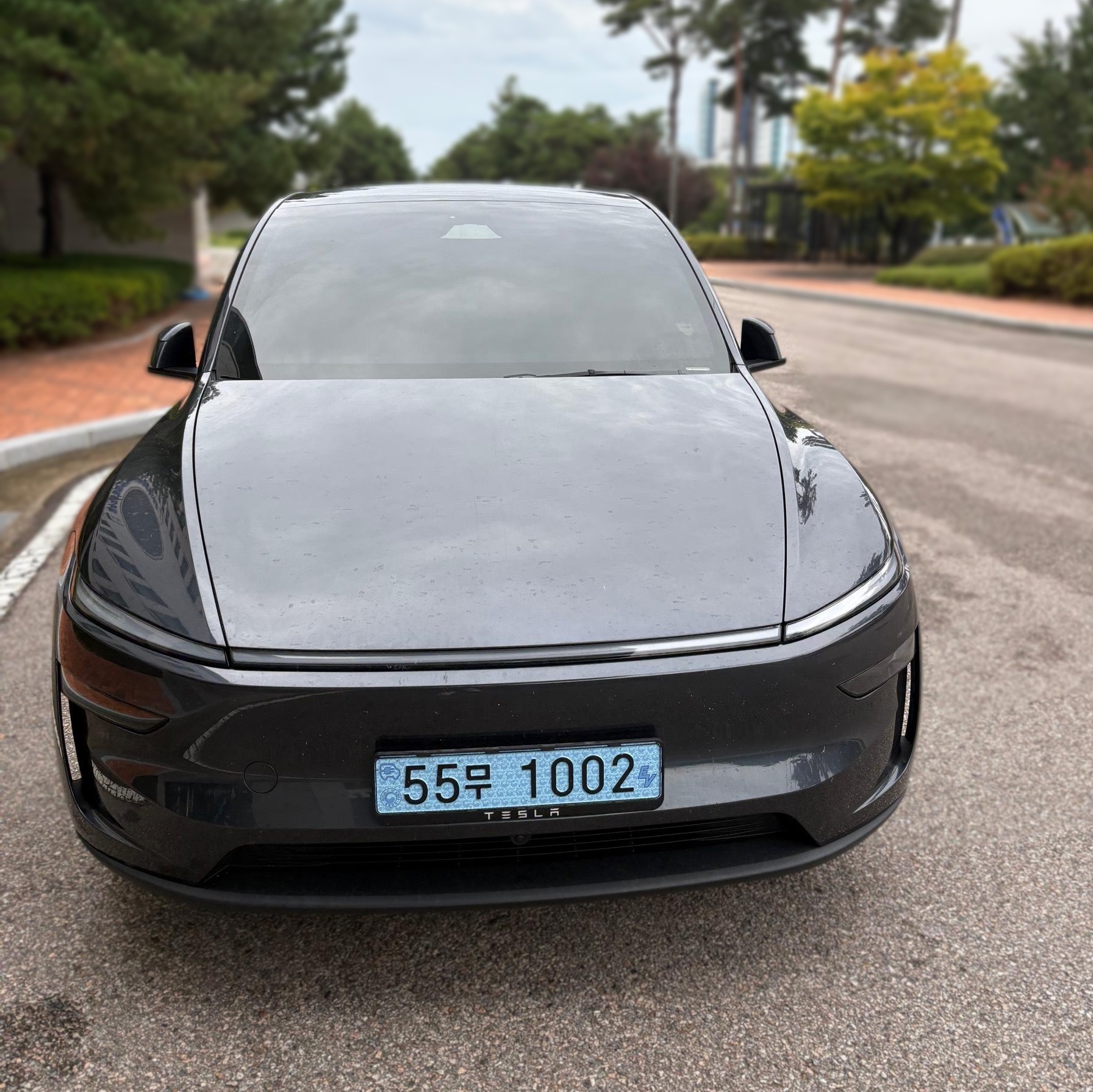 Tesla Model Y Juniper