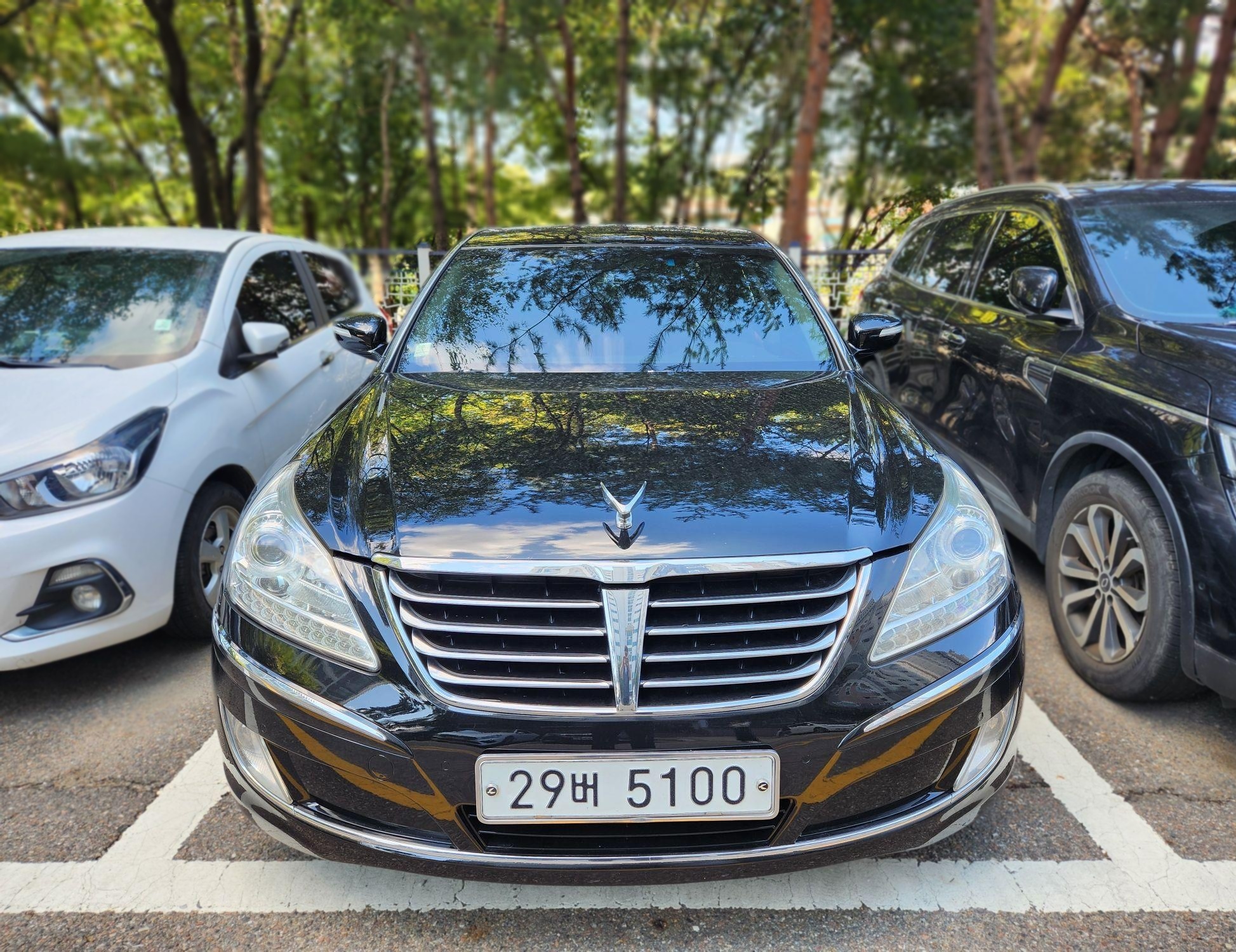 Hyundai Equus (New)