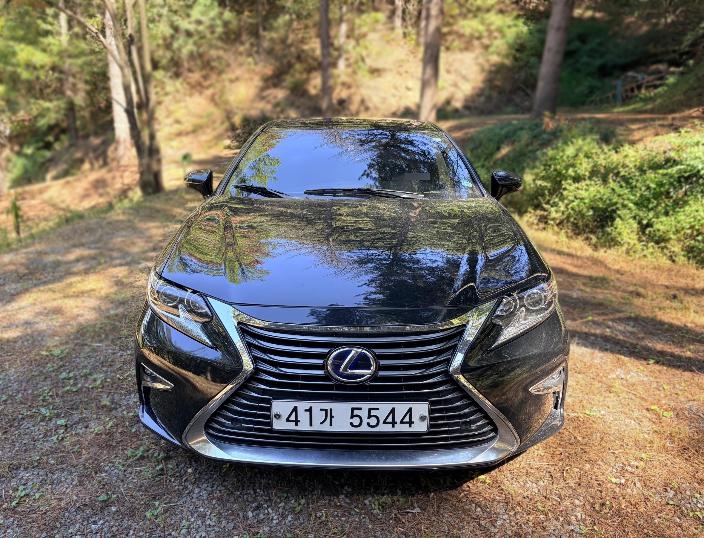 Lexus New ES300h