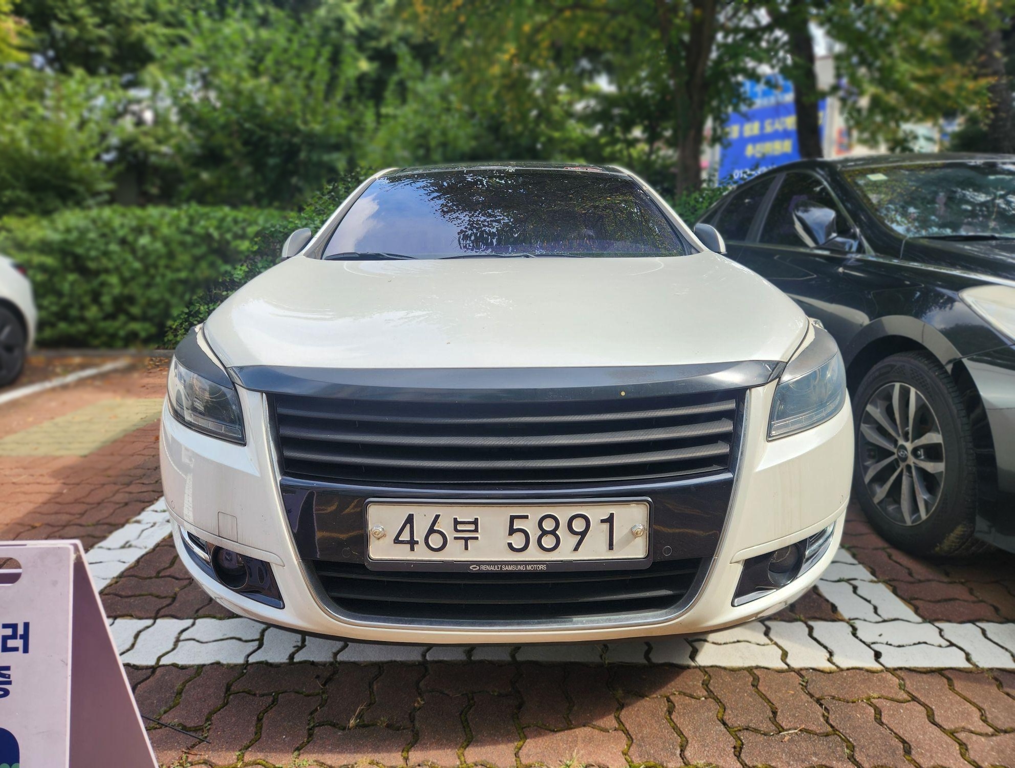 Renault Korea (Samsung) All-New SM7