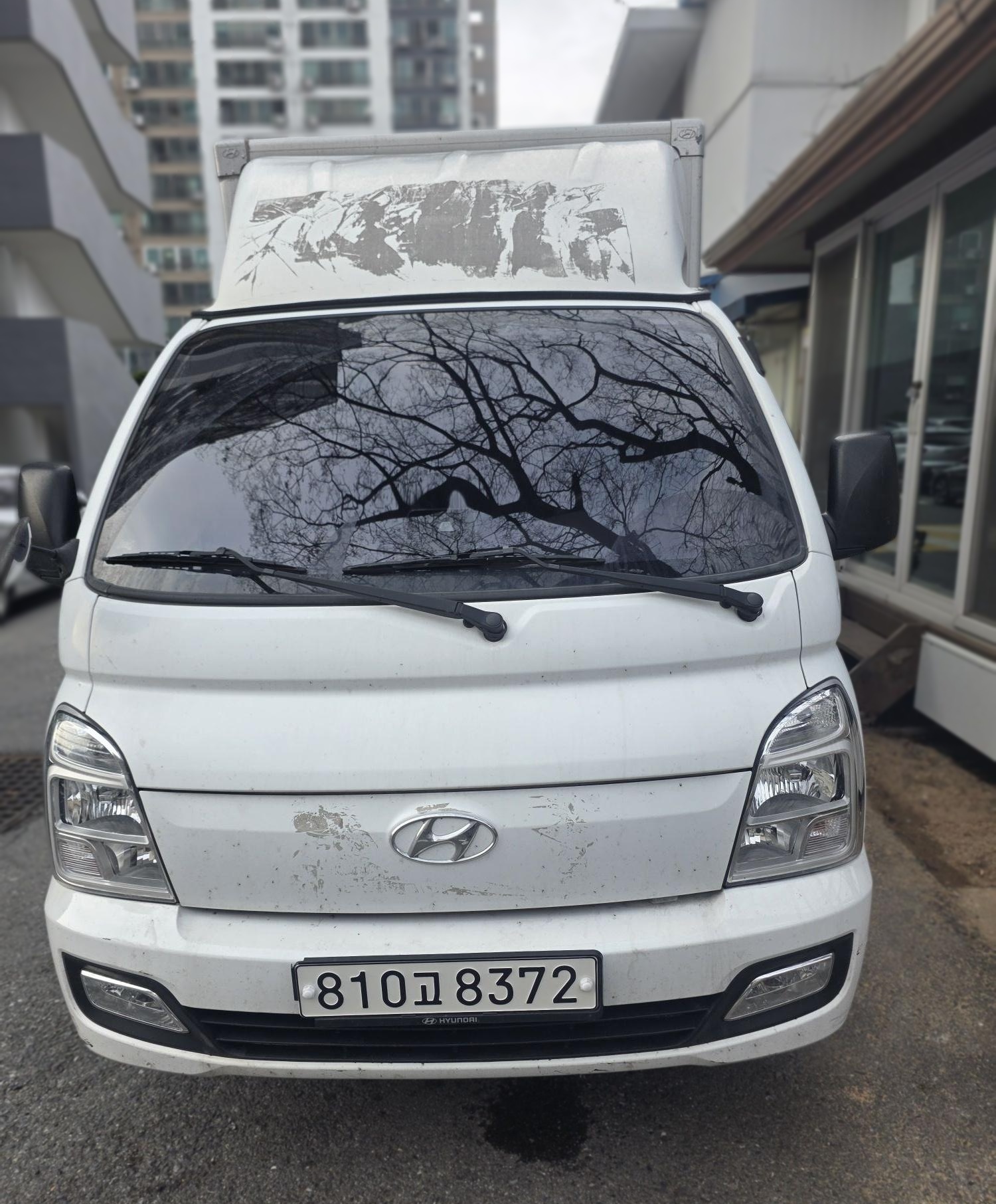 포터II 내장탑차