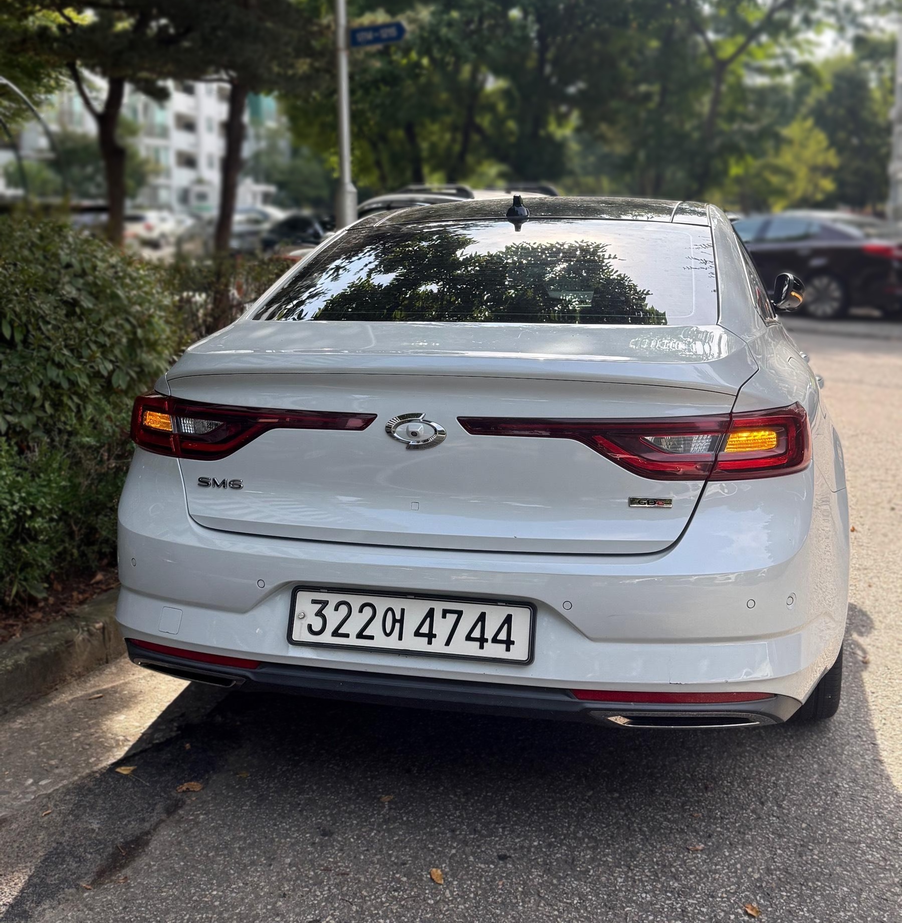 Renault Korea (Samsung) SM6