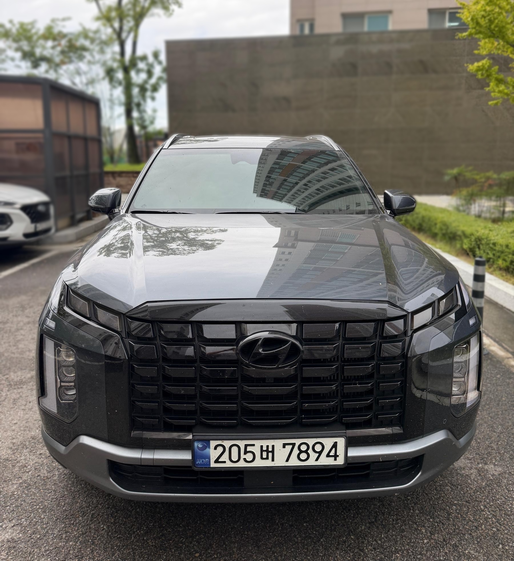 Hyundai The New Palisade