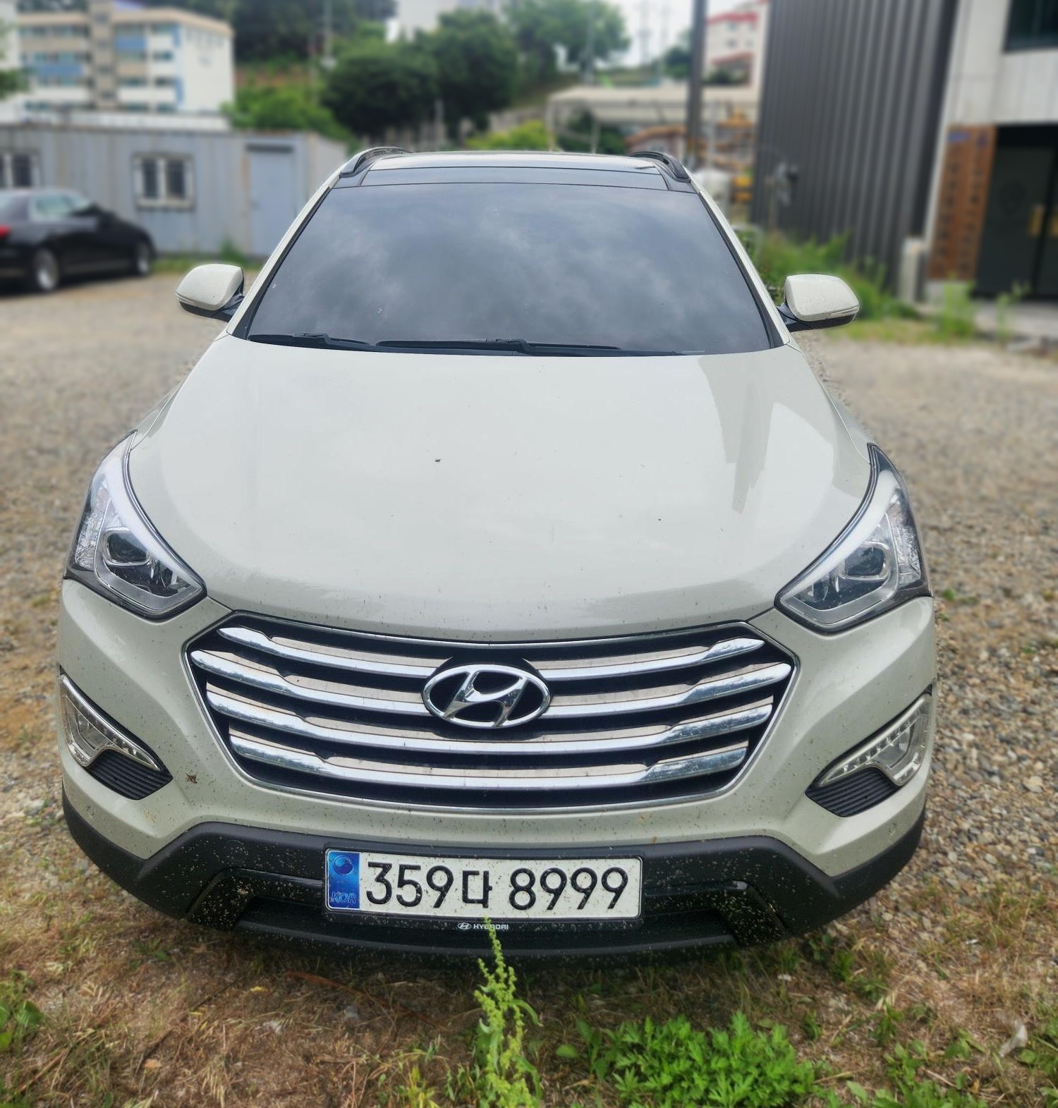 Hyundai Maxcruz