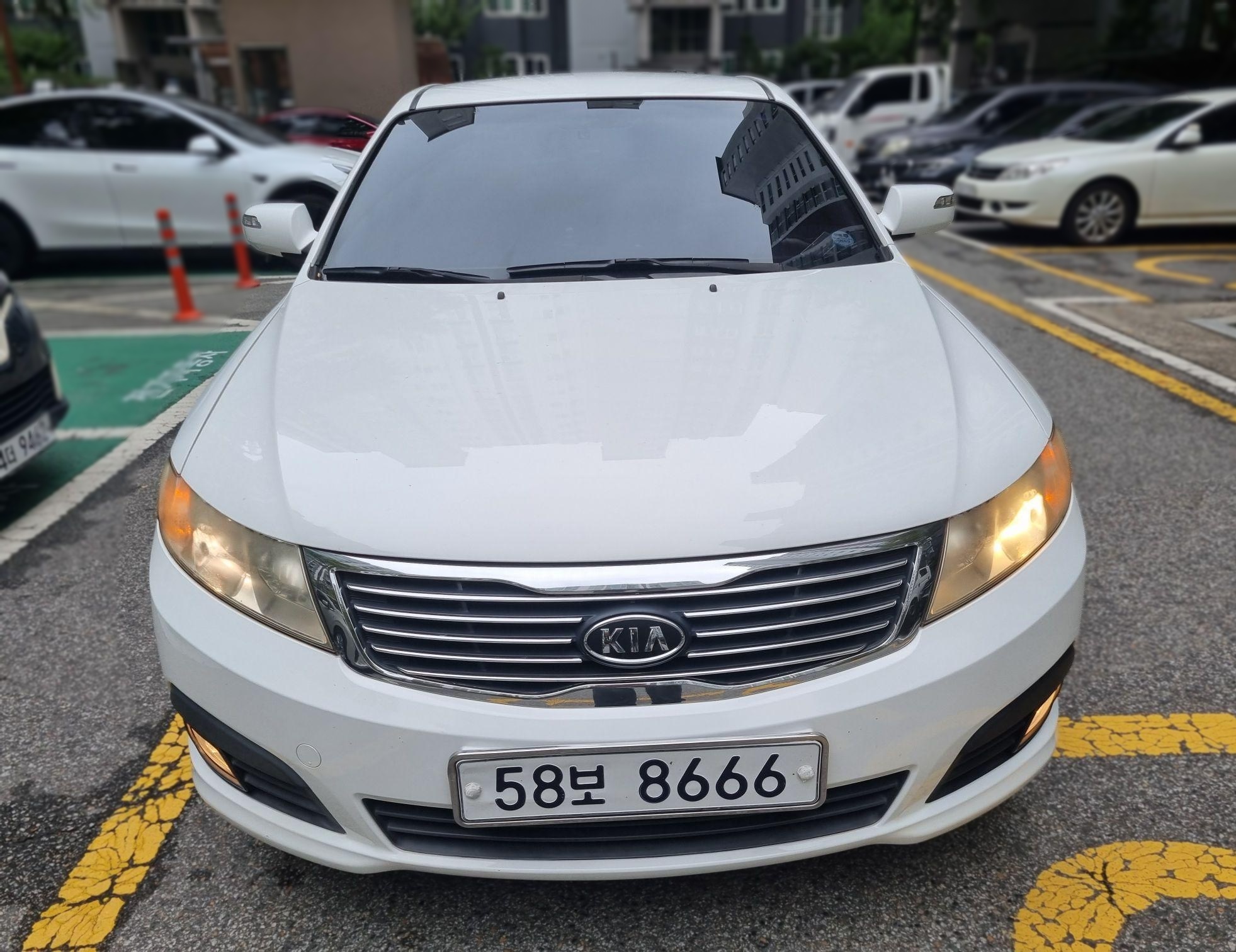 Kia Lotze Innovation